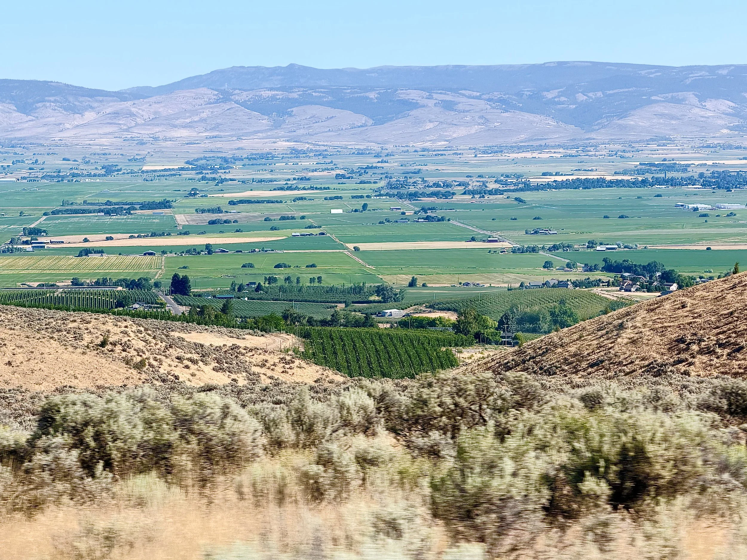 Irrigated farmland creates a striking green contrast.