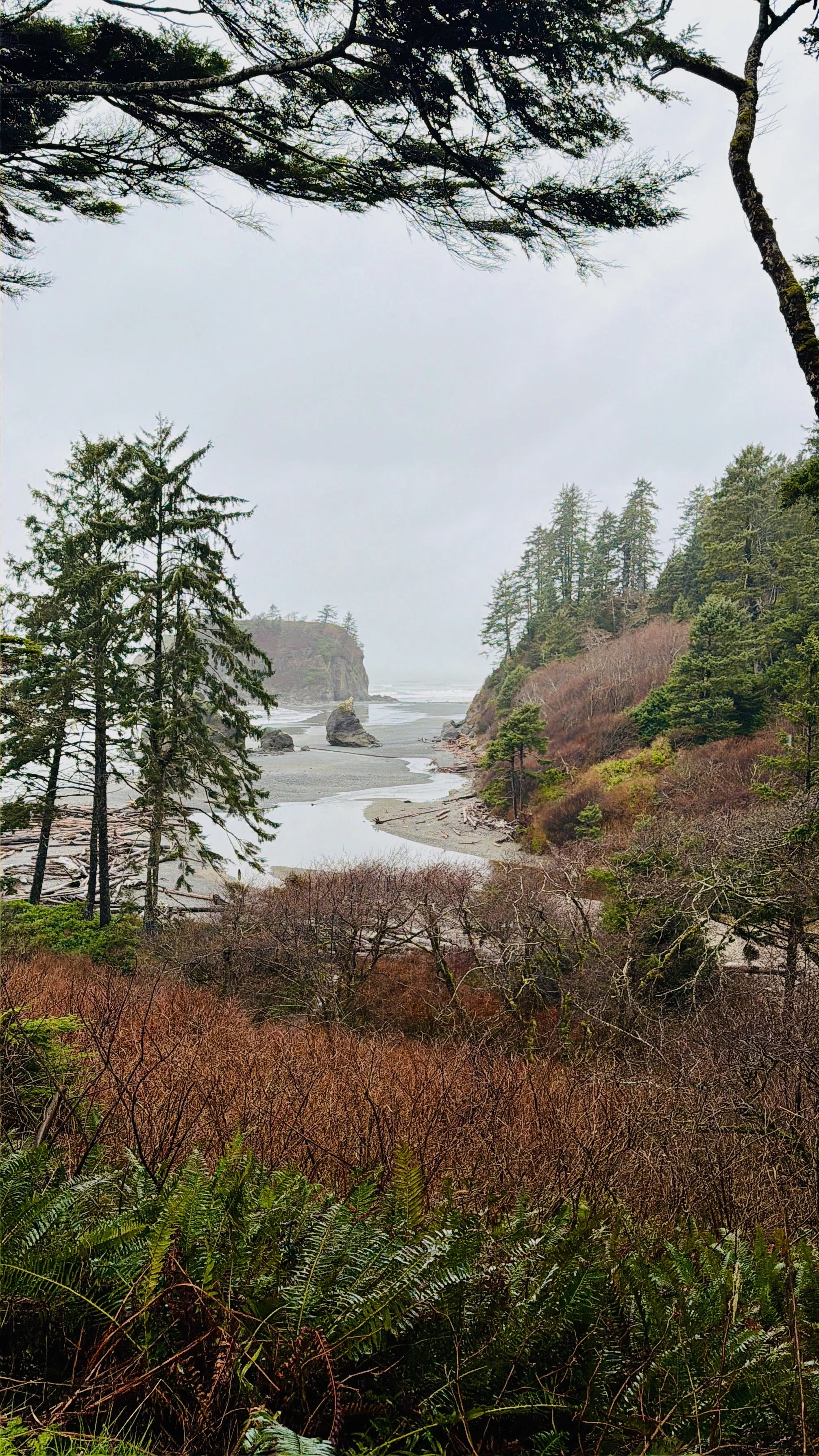 Ruby Beach