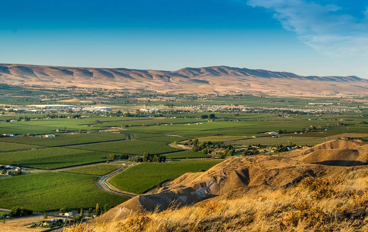 Panoramic view of green orchards and farmland surrounded by the dry hills of Washington’s Yakima Valley