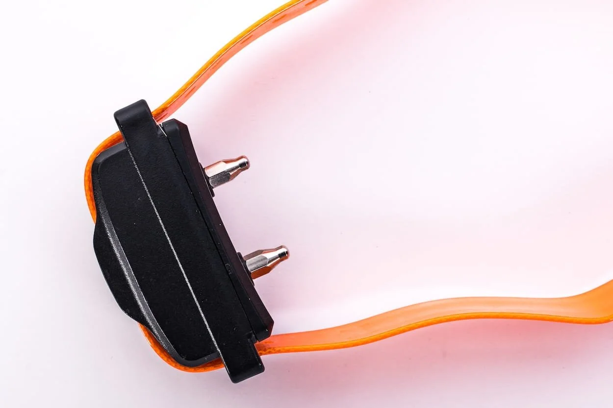 Close-up of a shock collar showing metal prongs on an orange strap