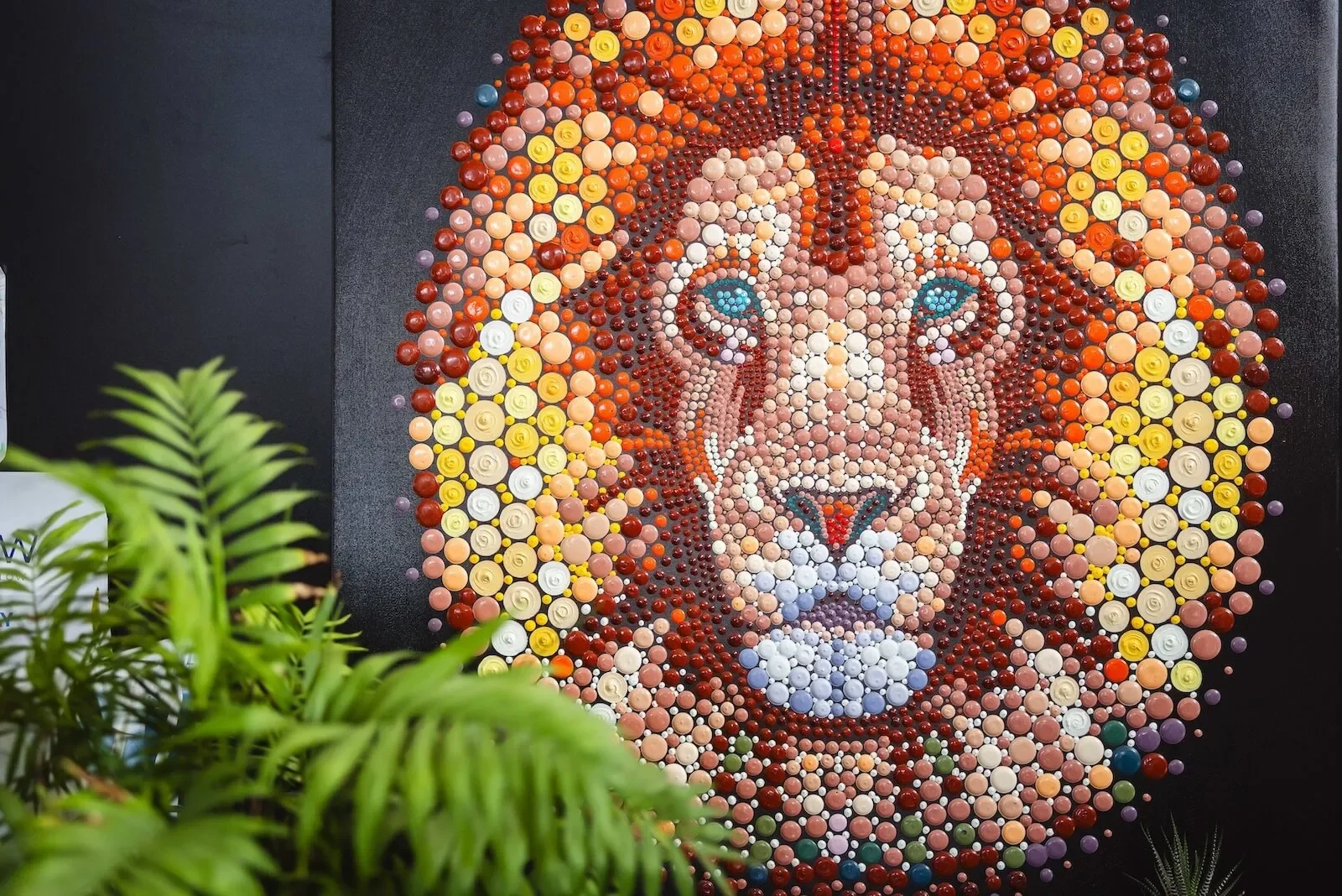 Innate Ward Chiro office space