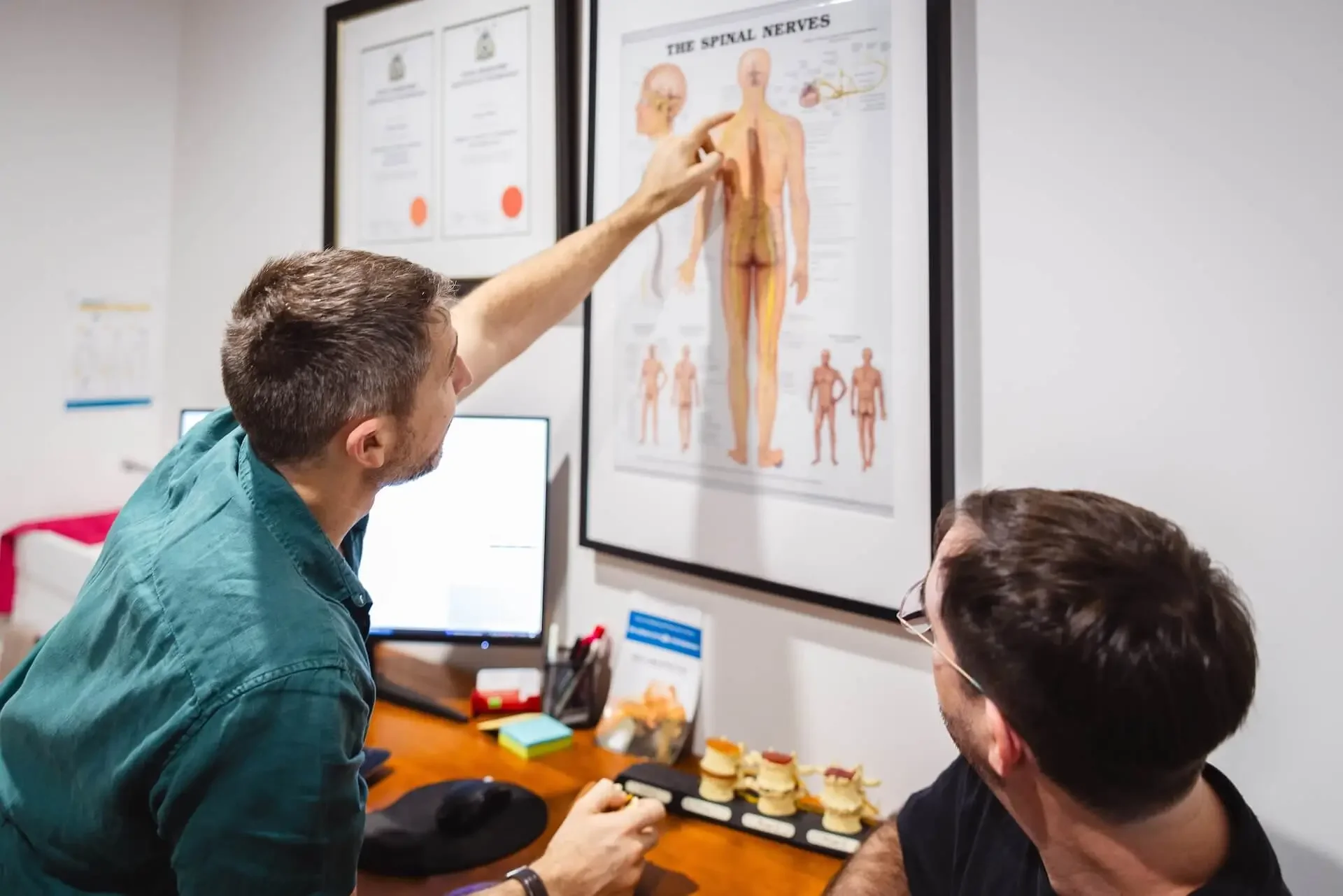 Wellness chiropractic care in Browns Plains