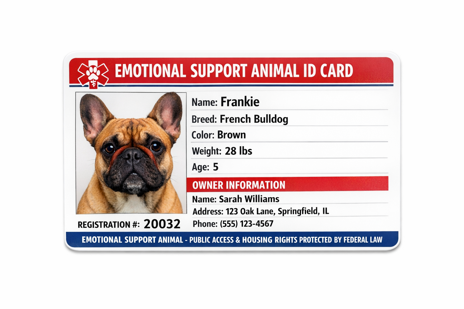 Emotional Support Certificate (ESA)