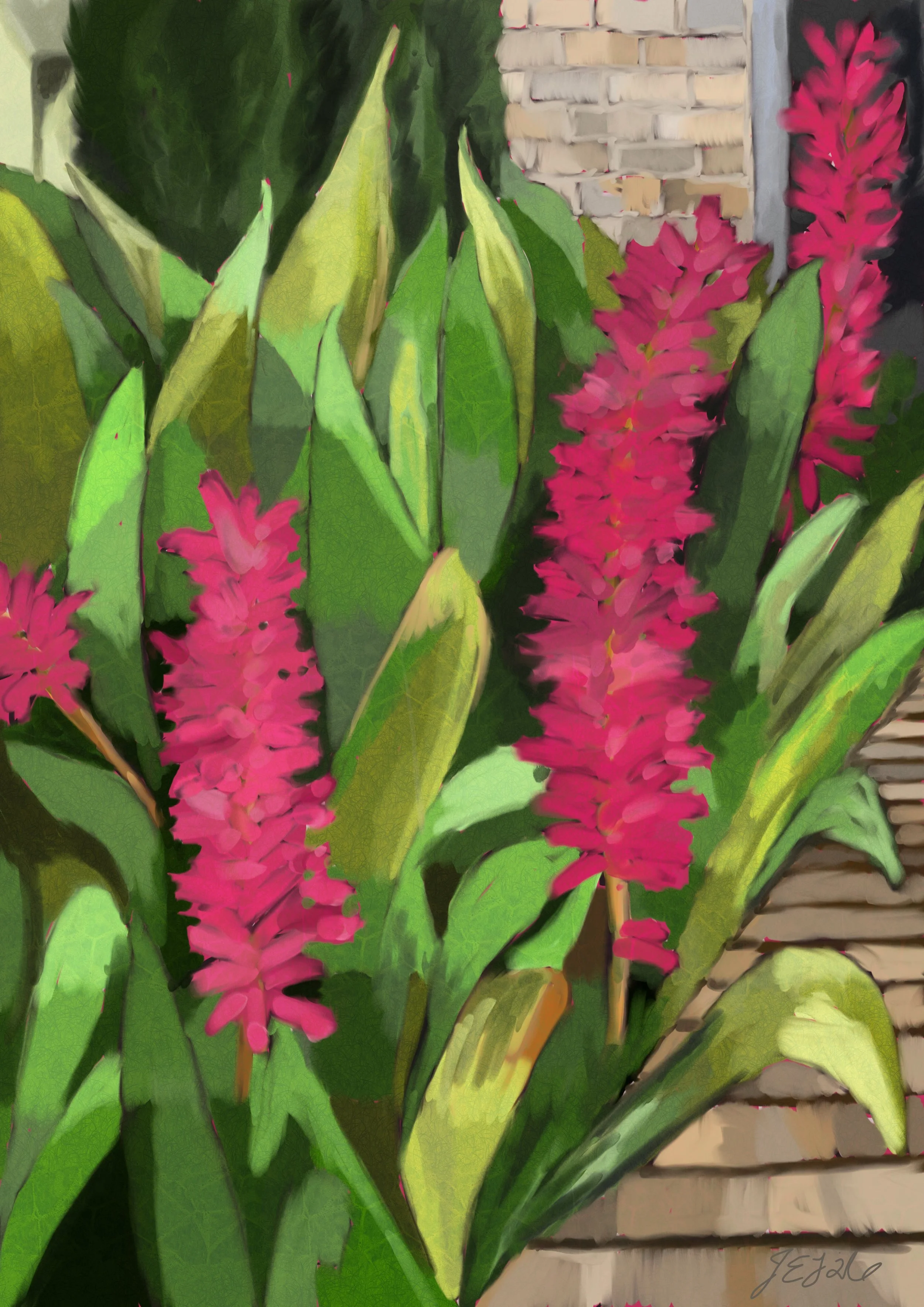 Pink Bromeliad Garden
