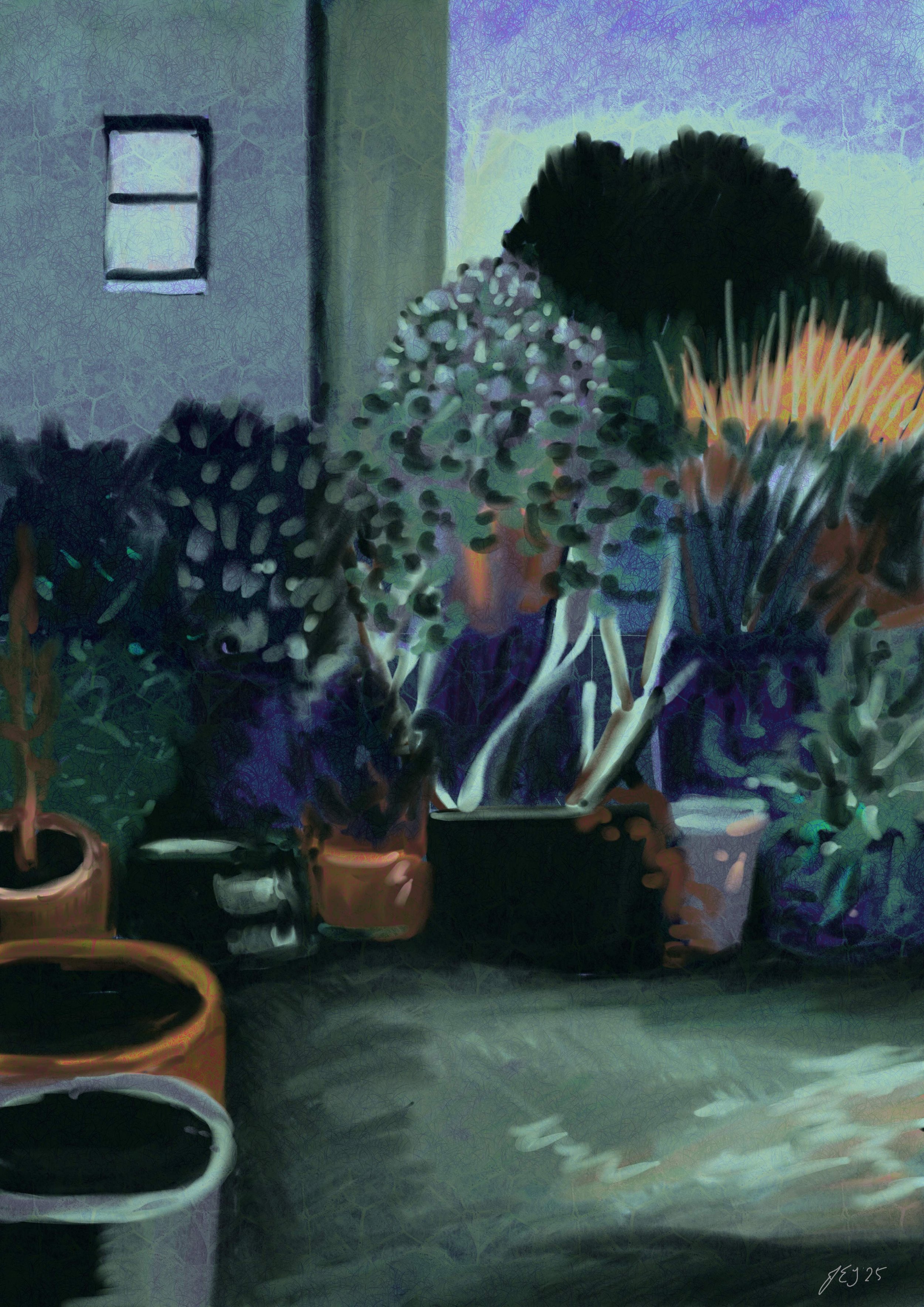 studio exterior dawn.jpg