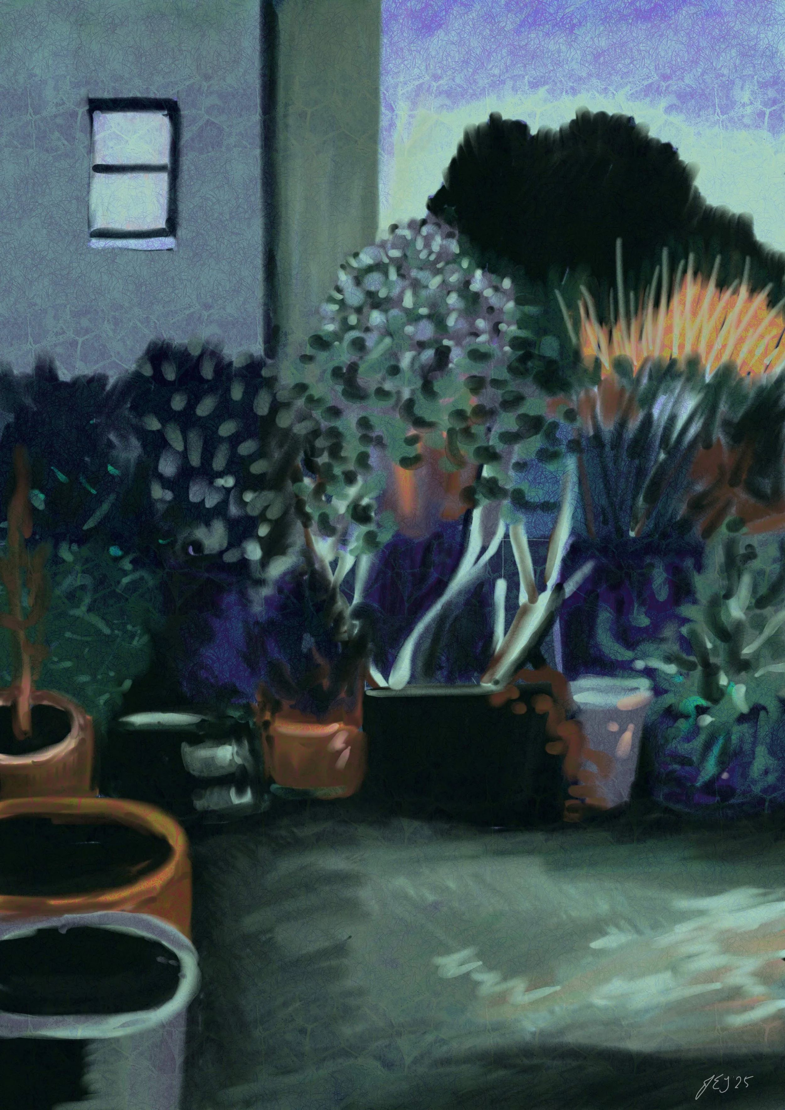 studio exterior dawn.jpg