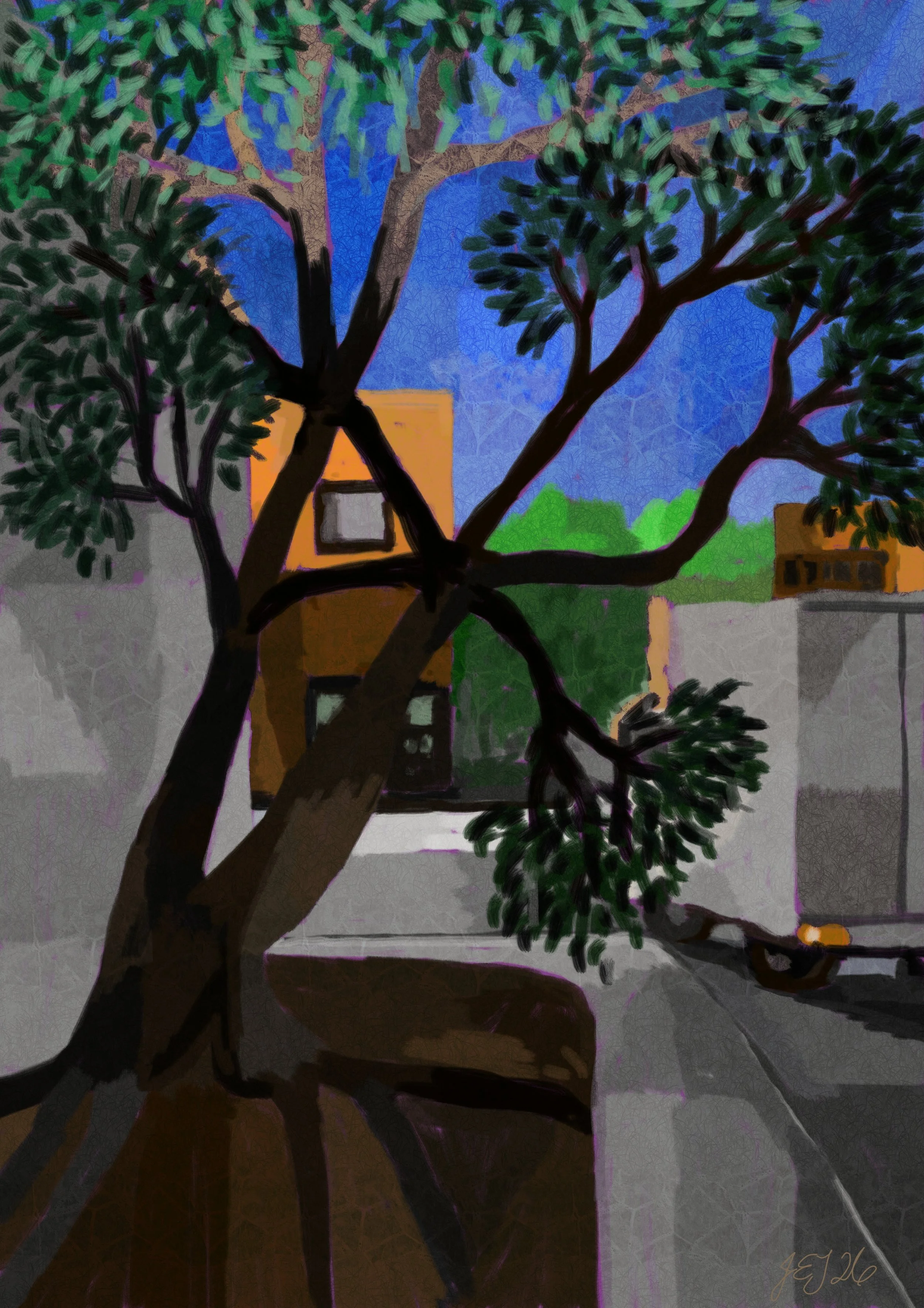 Fitzroy Street Trees