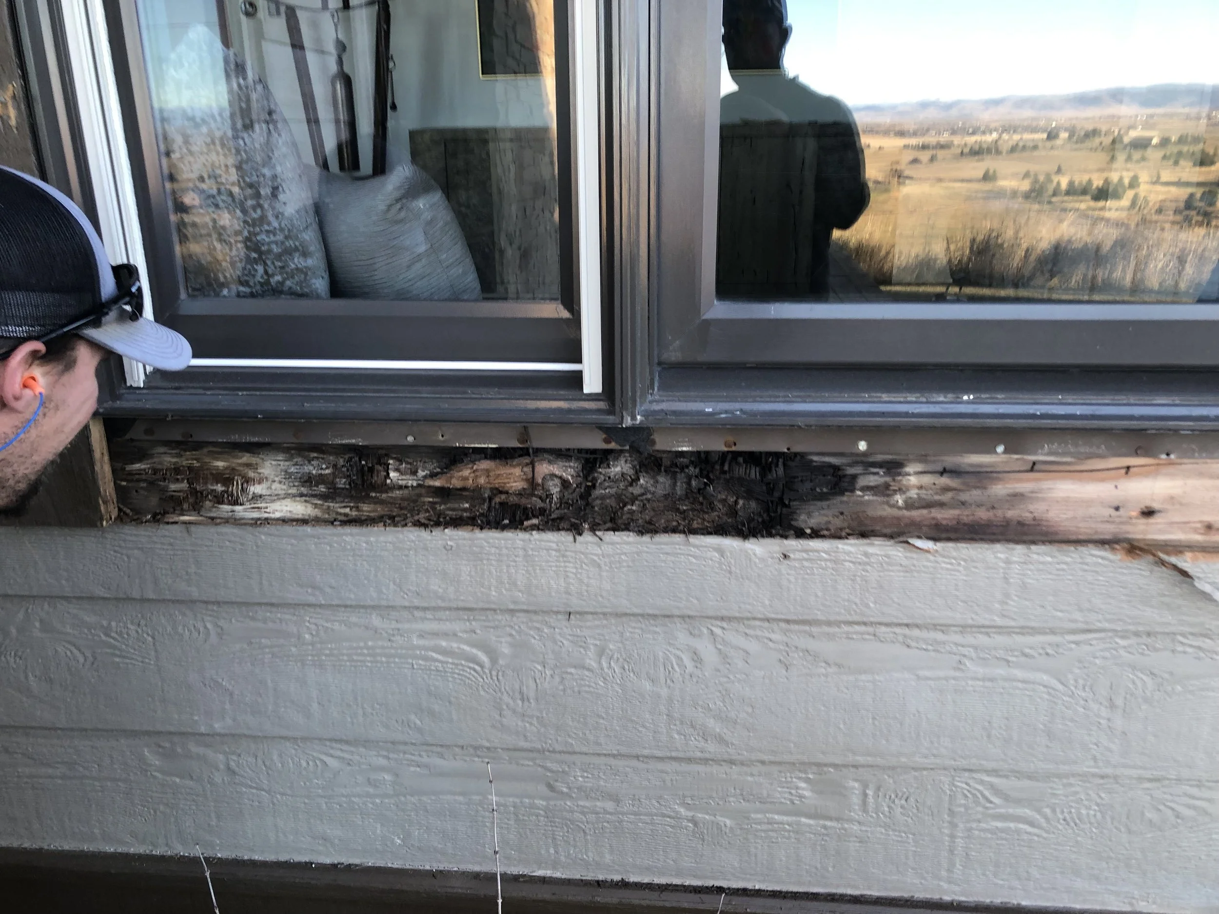 Should I replace my windows?