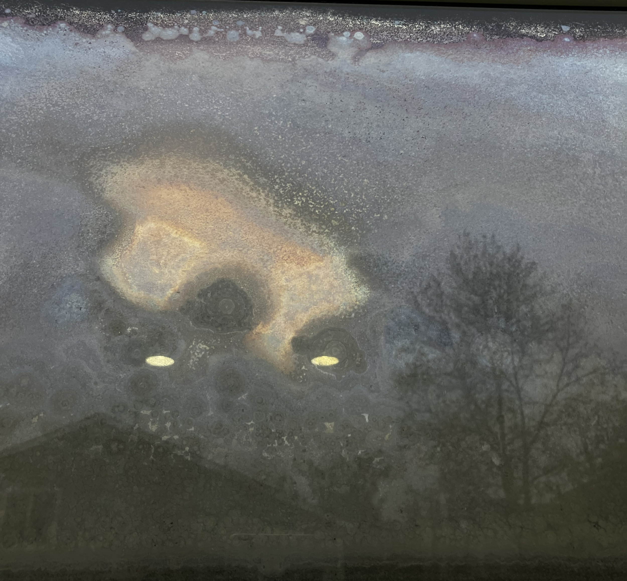 Who can I hire to replace my windows?