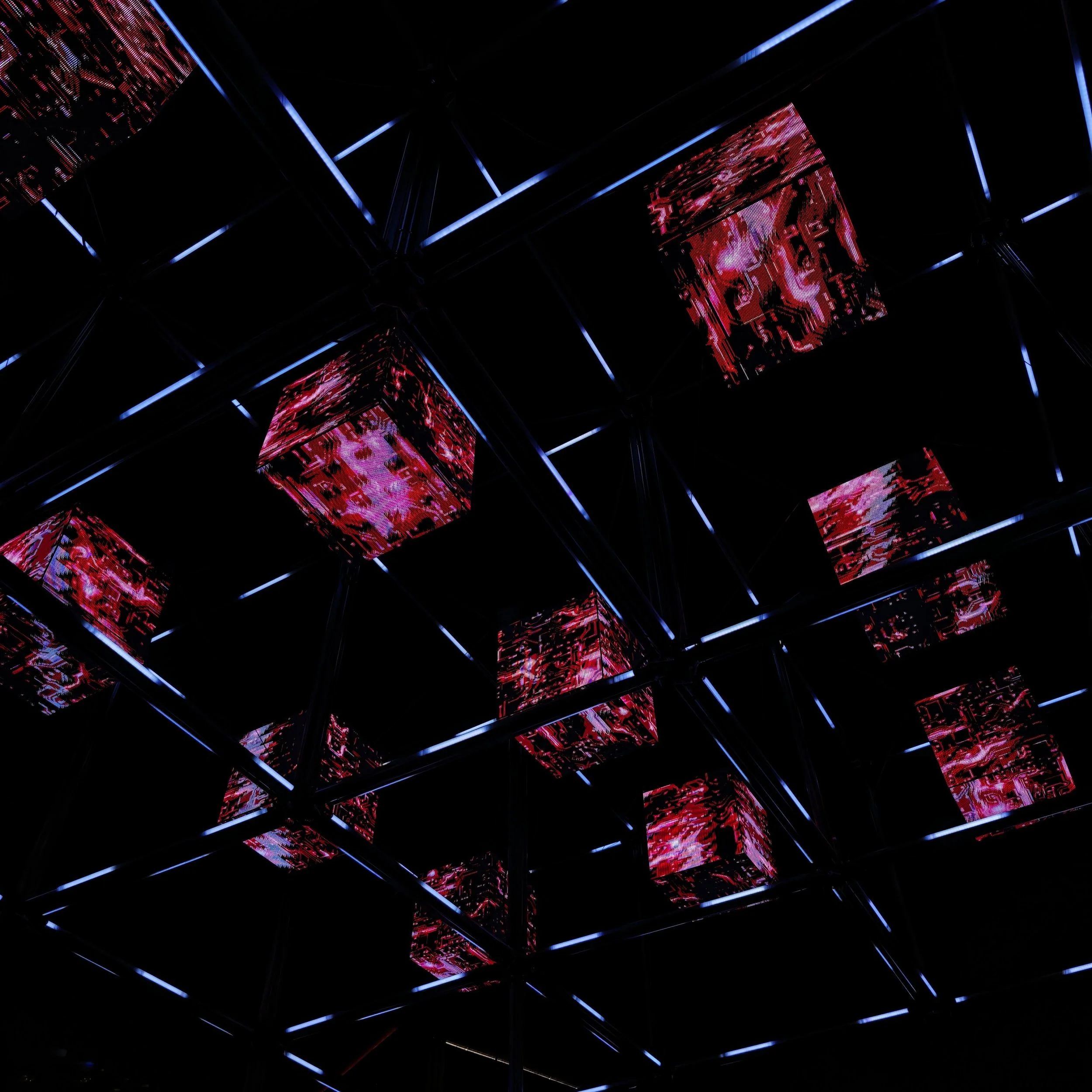 1781757029126crop.jpg