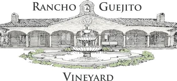 Illustration of a historic building with a central fountain and surrounding greenery.