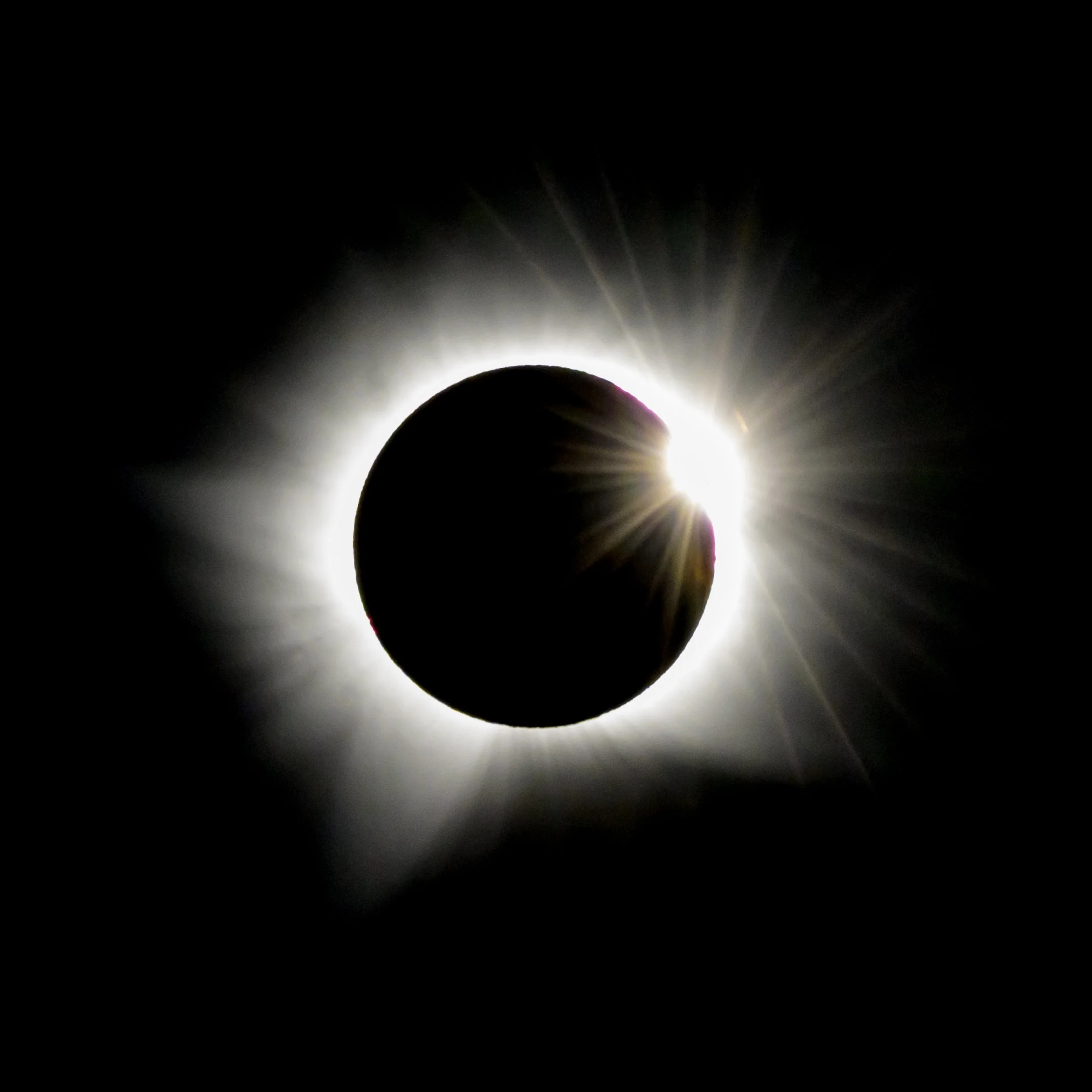 _1Z90271.jpg