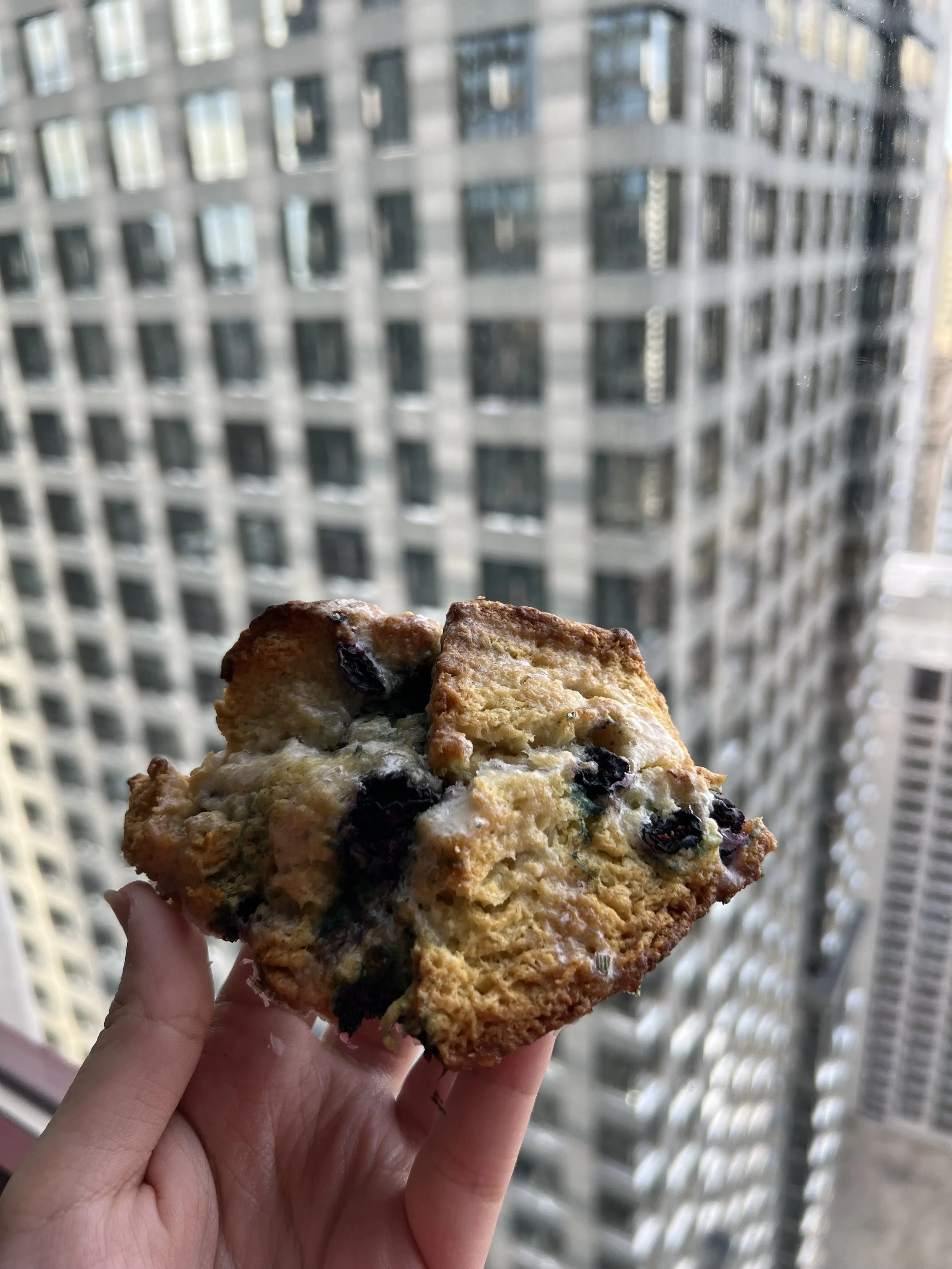 Blackberry & Thyme Scone