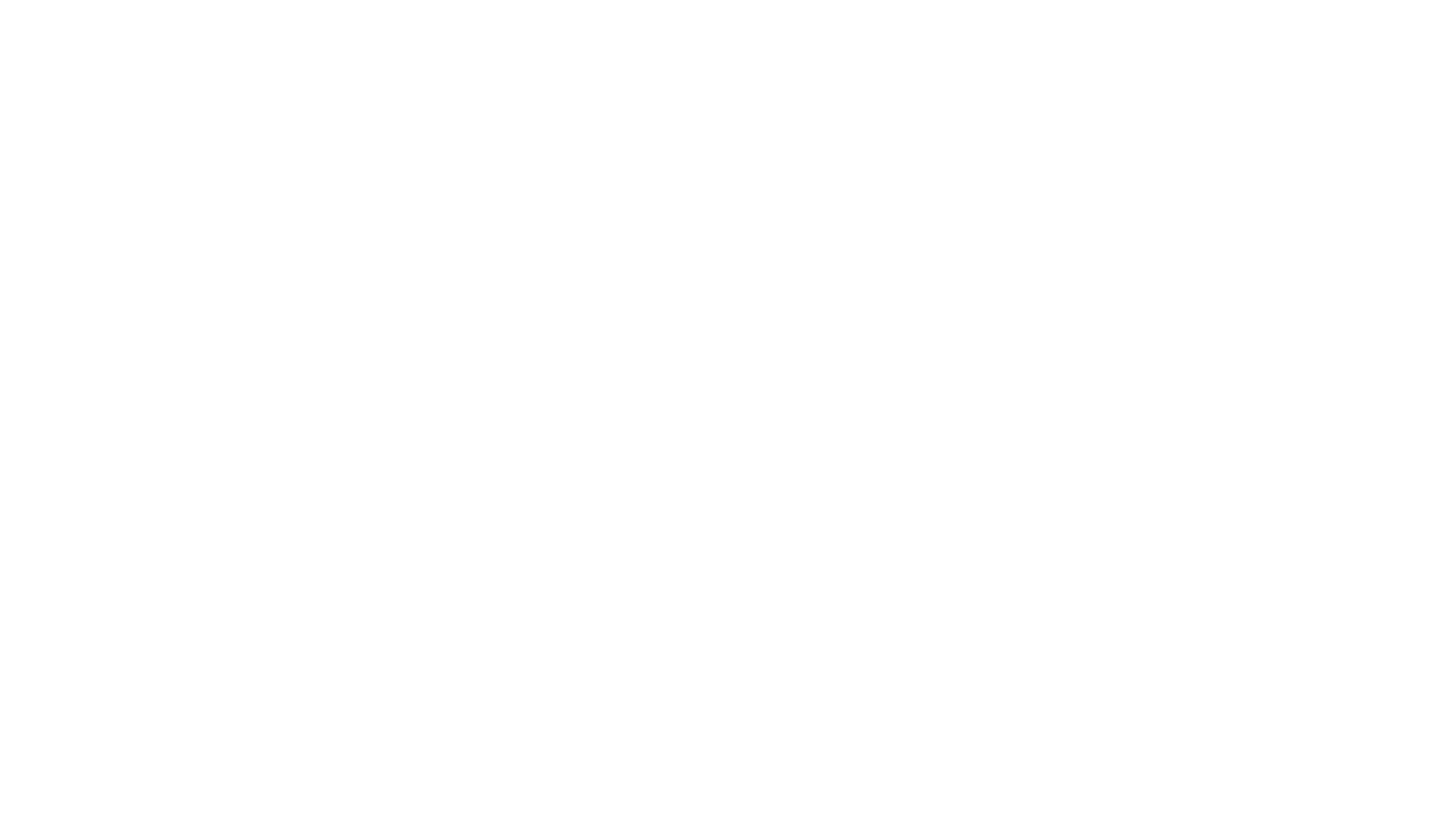 SOFIA PINEDA GRAPHIC AND VISUAL ARTIST