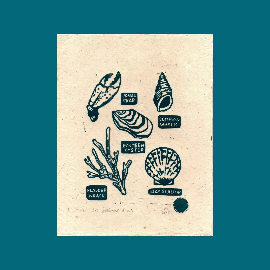 Sea Specimens of New England Linocut Block Print