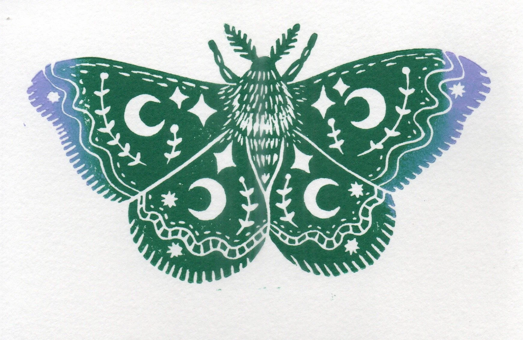 Moth Card