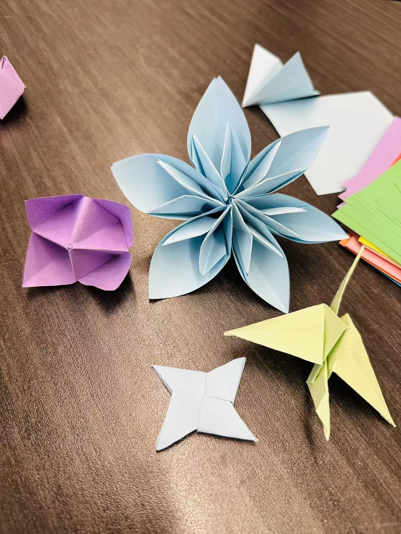 Summer Enrichment 39.jpg