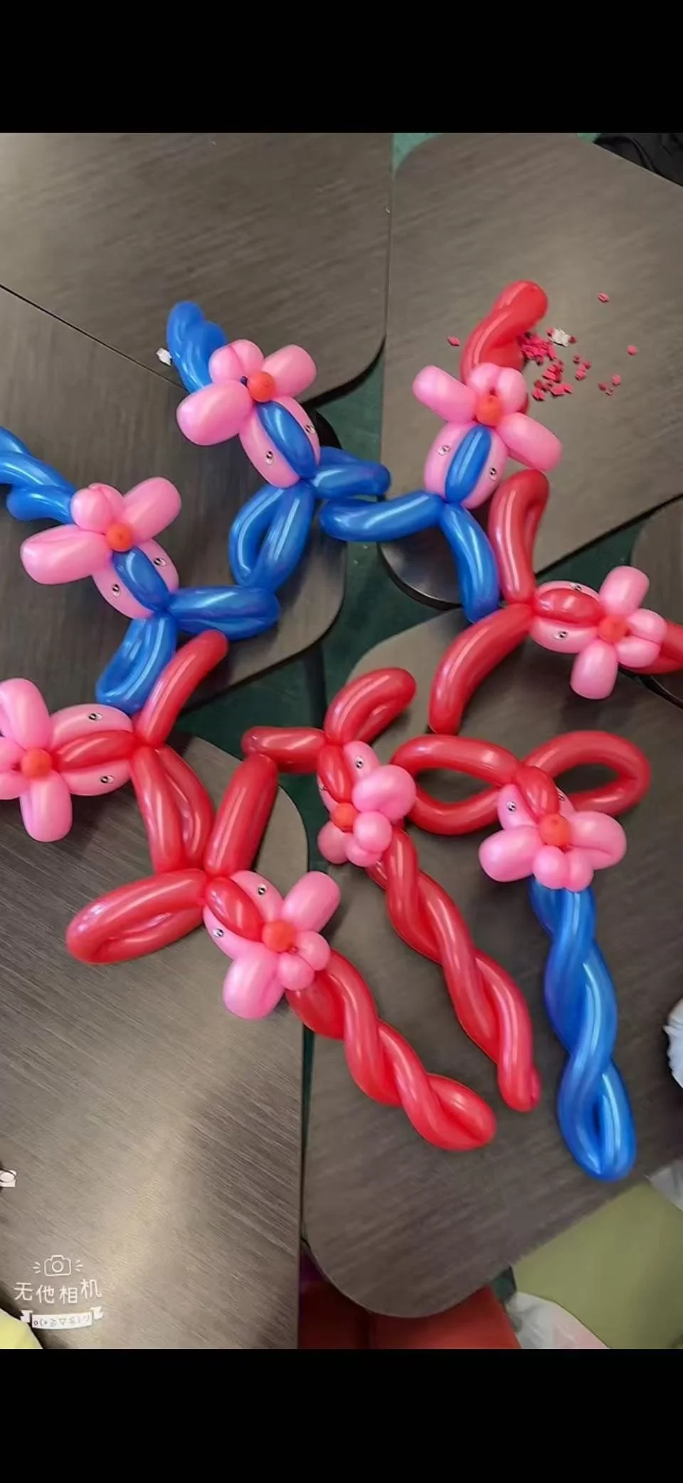 Summer Enrichment 34.jpg