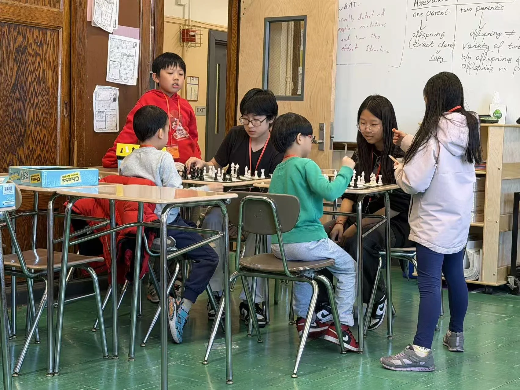 Summer Enrichment 45.jpg