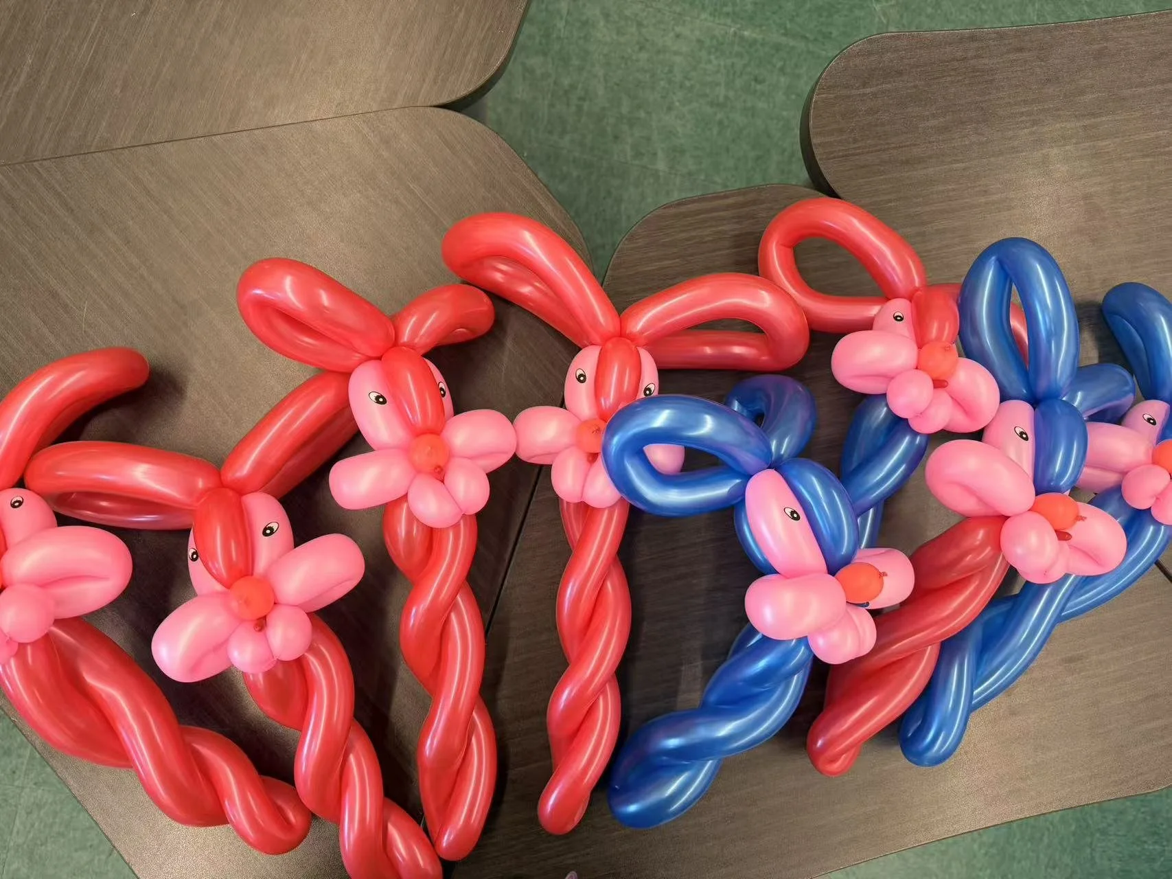 Summer Enrichment 19.jpg