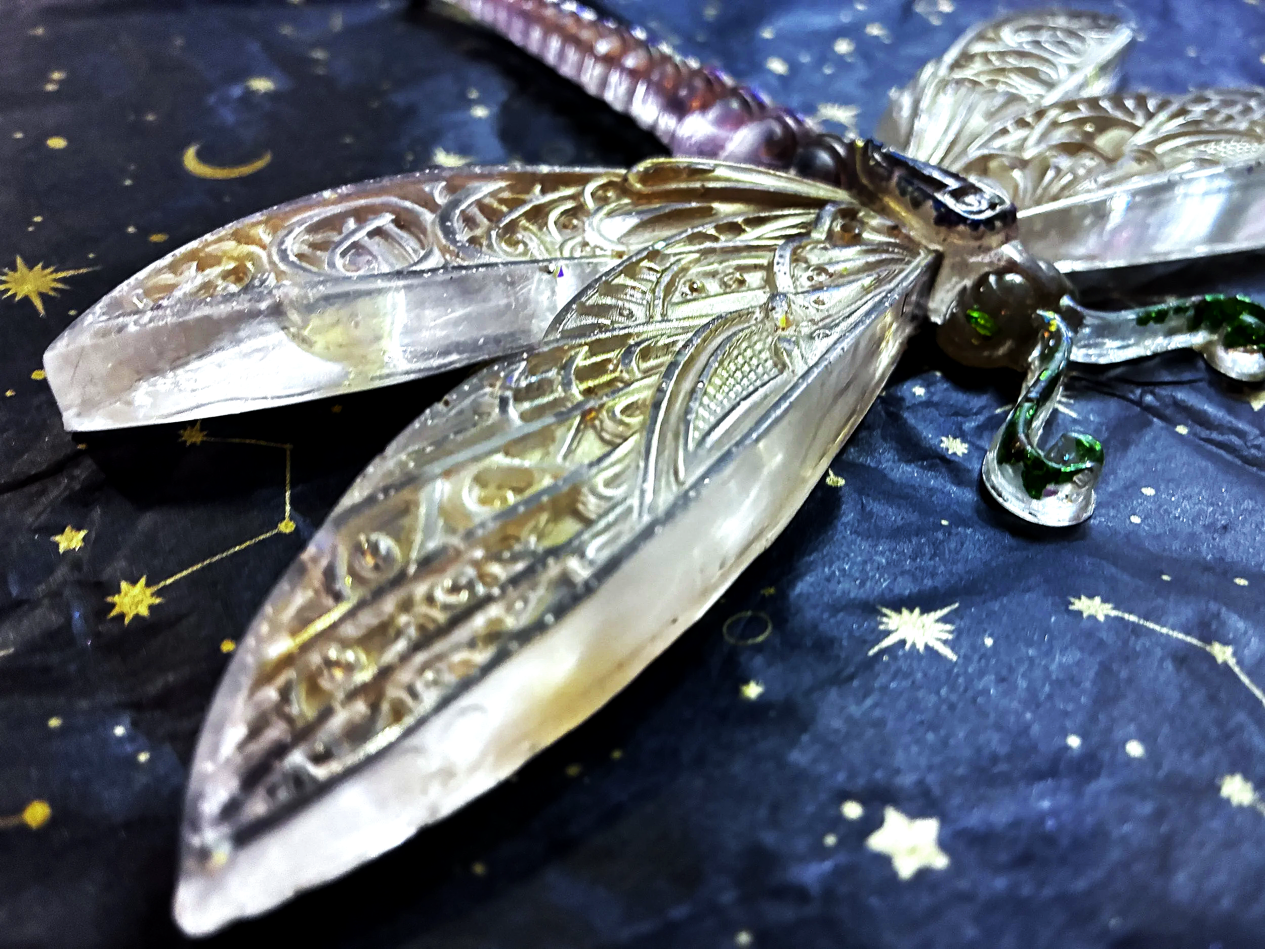 🪰 The Dragonfly Guardian - LunaWye