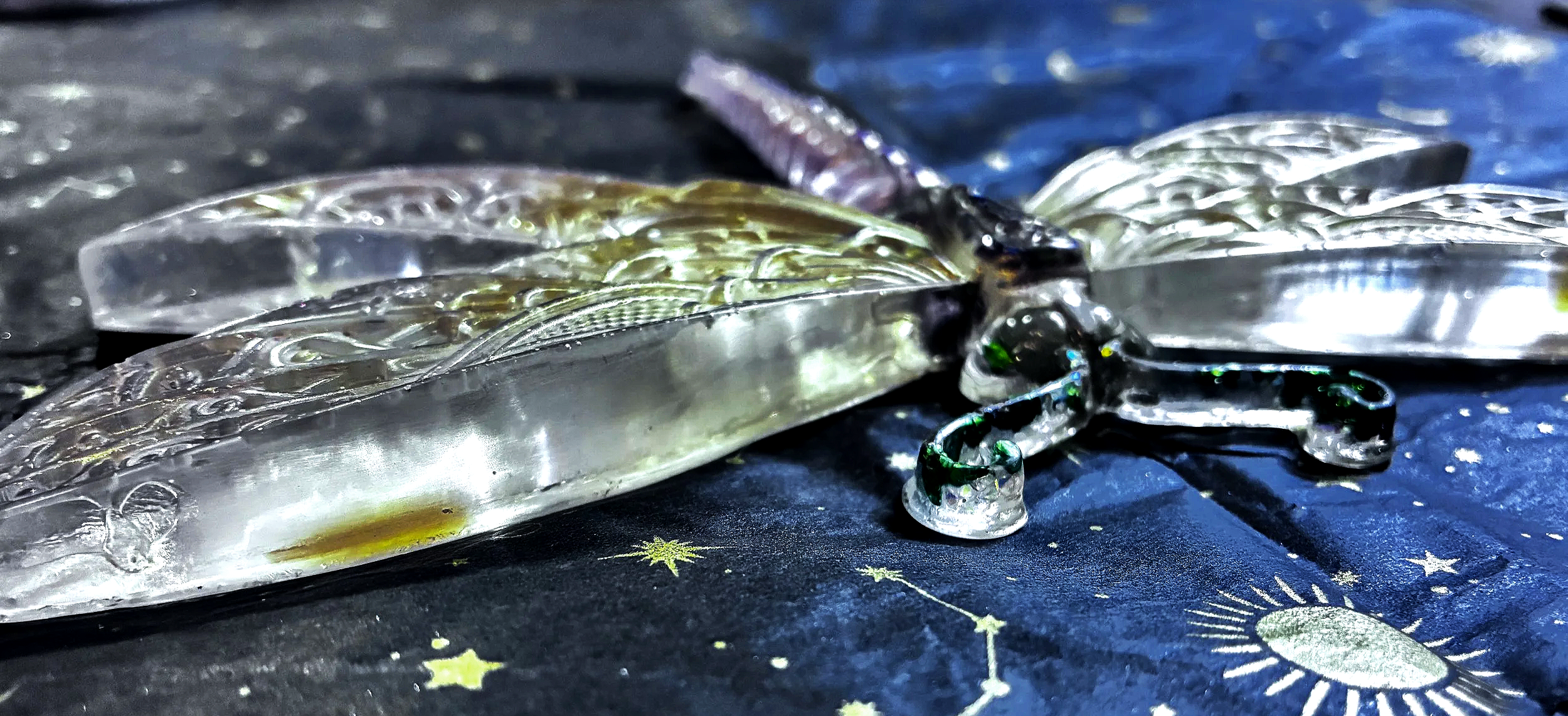 🪰 The Dragonfly Guardian - LunaWye