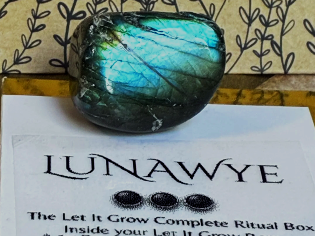 𖧧 The Let It Grow | Complete Set - LunaWye