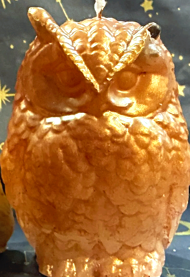 🦉The Watcher - Guardian of the Night