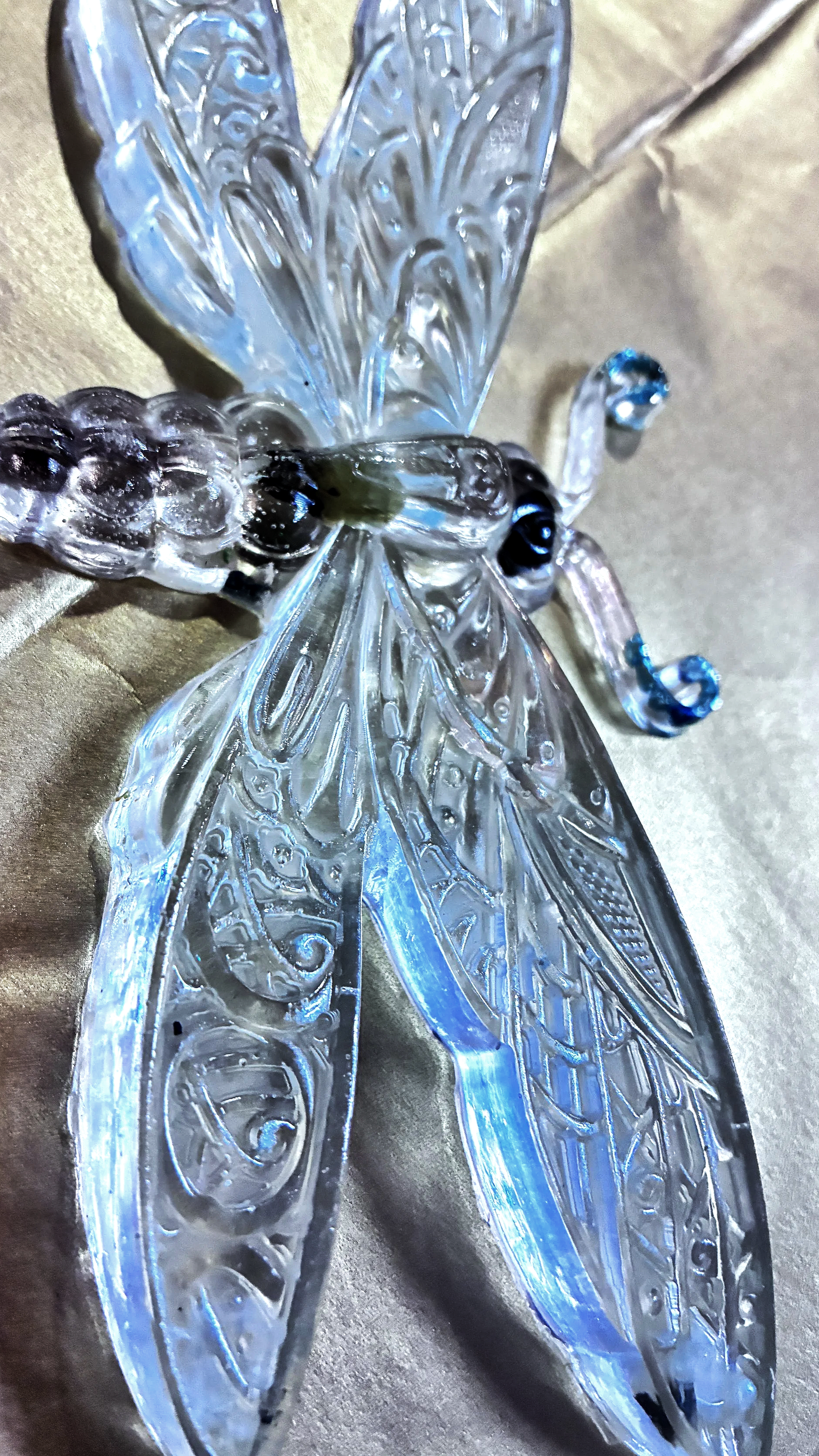 🪰 The Dragonfly Guardian - LunaWye