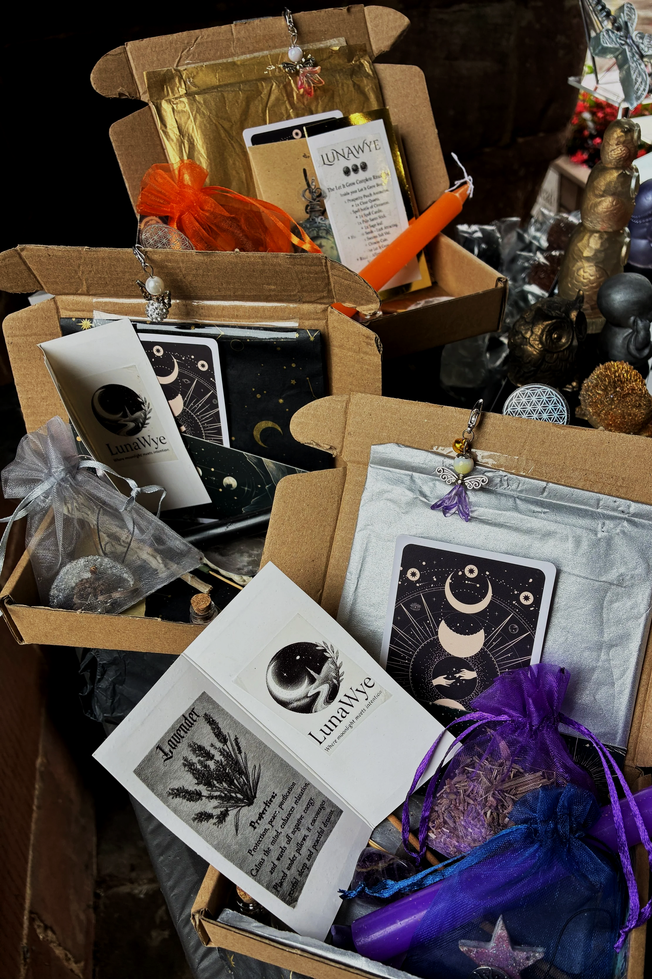 The Protection & Intention Complete Ritual Box 🖤🌙 - LunaWye