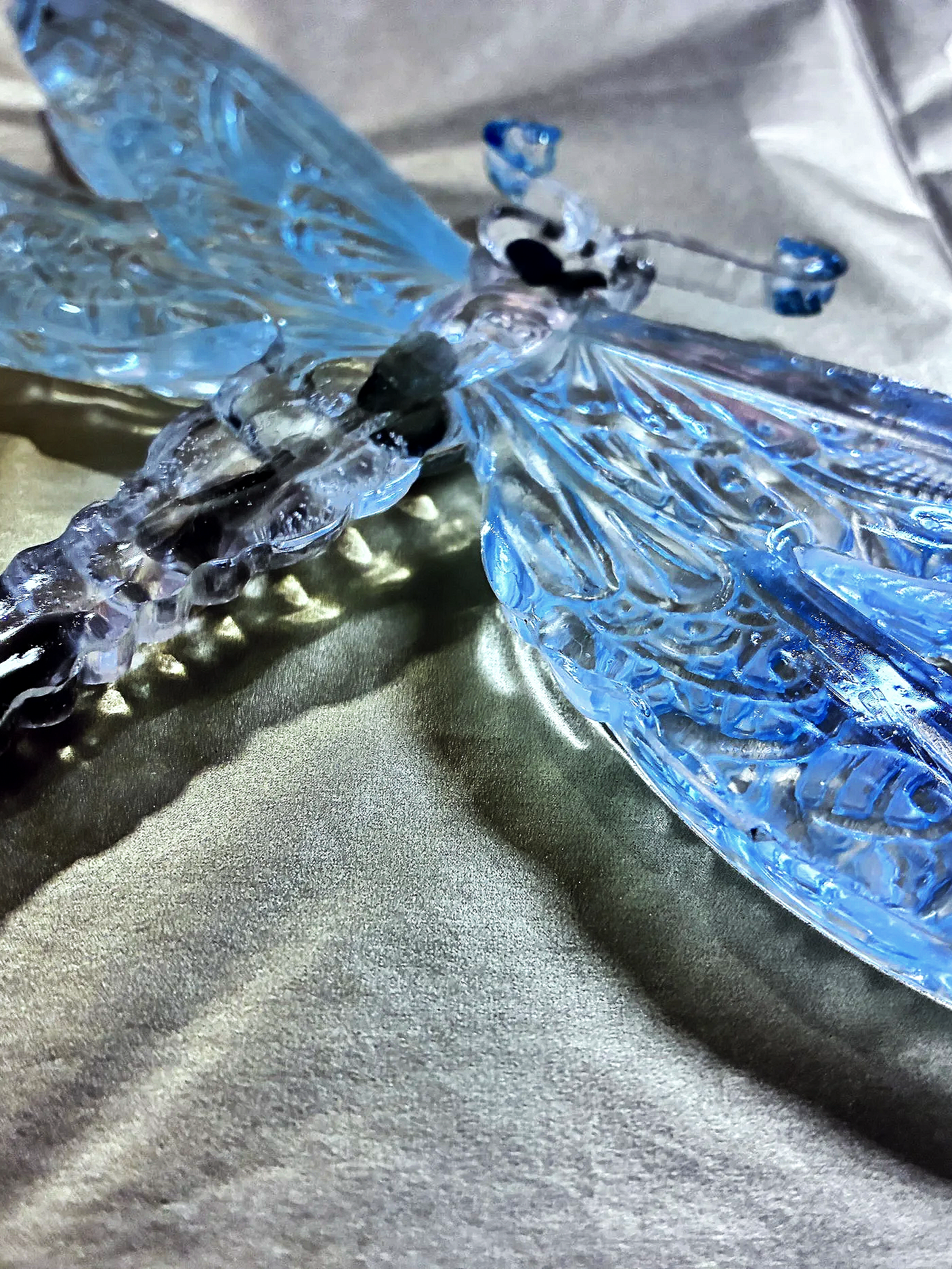 🪰 The Dragonfly Guardian - LunaWye