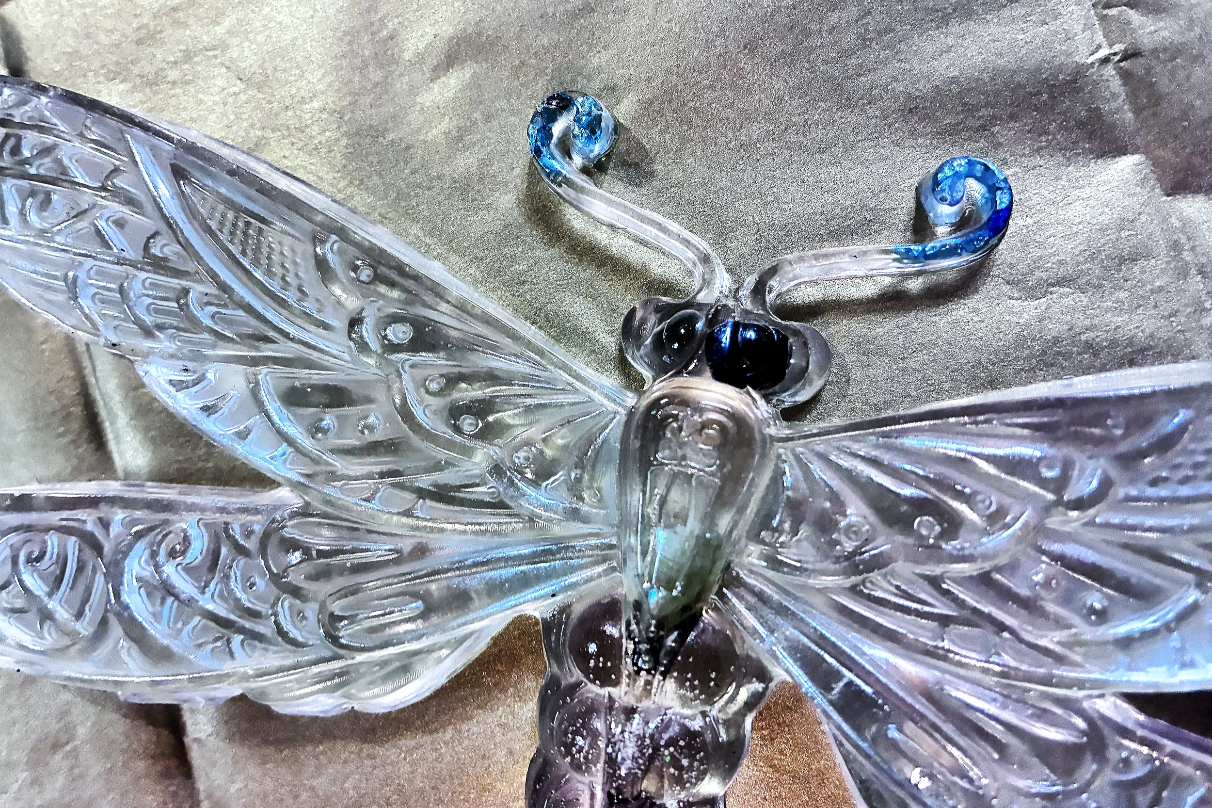 🪰 The Dragonfly Guardian - LunaWye