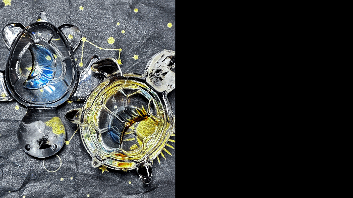 🐢 Luna Wayfinder Turtles - LunaWye