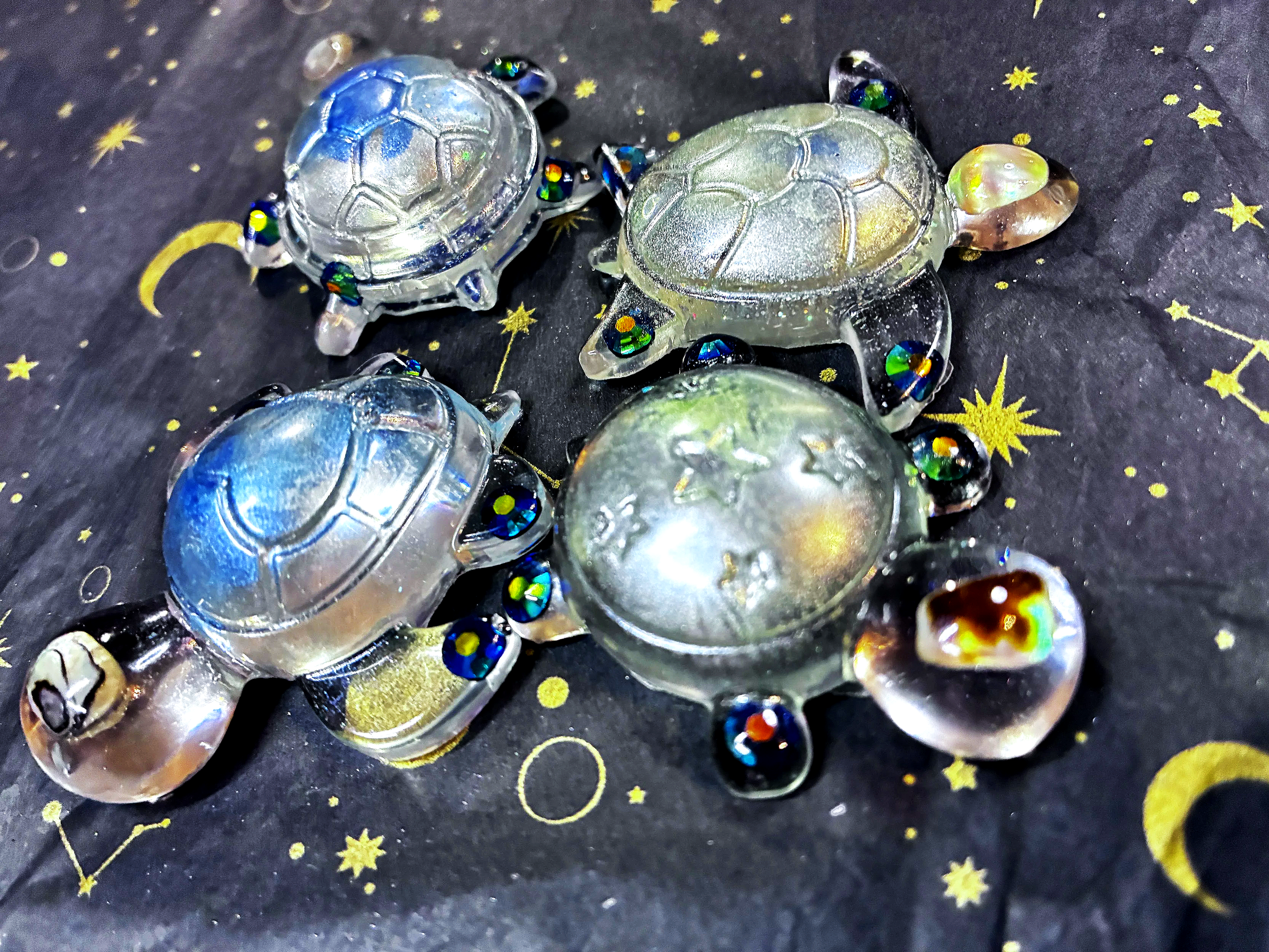 IMG_4413Turtles.png