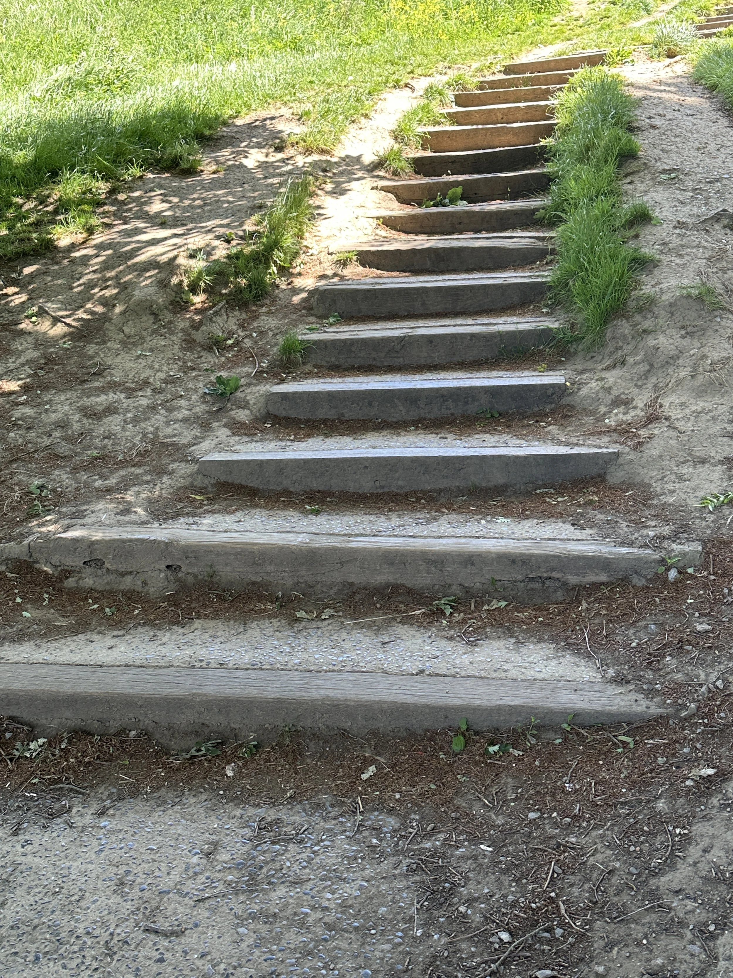 Wooden steps ascending a dirt trail, surrounded by green grass and sunlight.