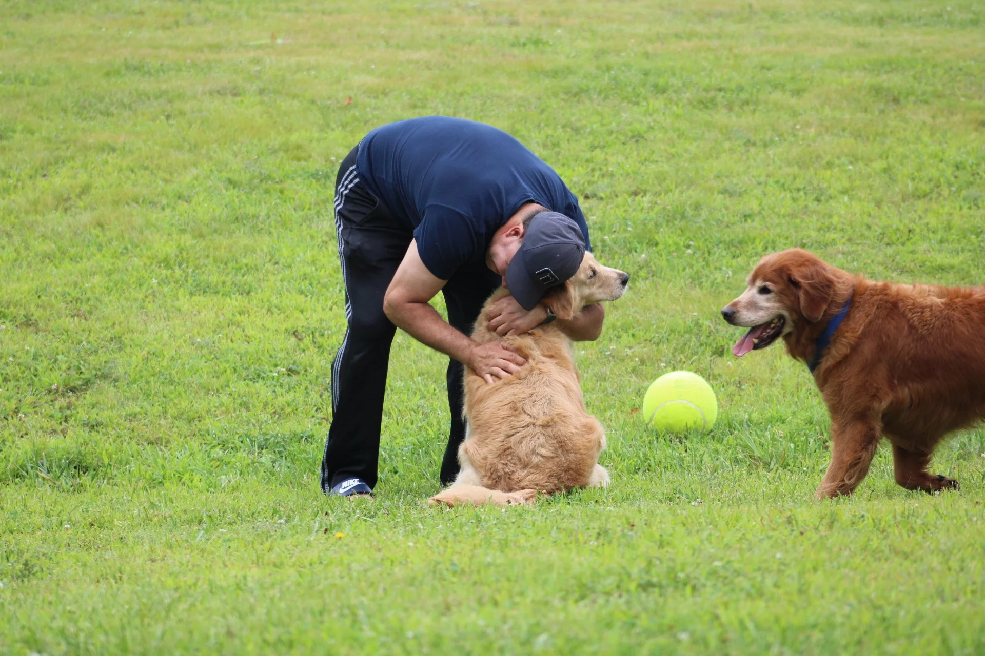 Finding Comfort After The Loss of a Pet