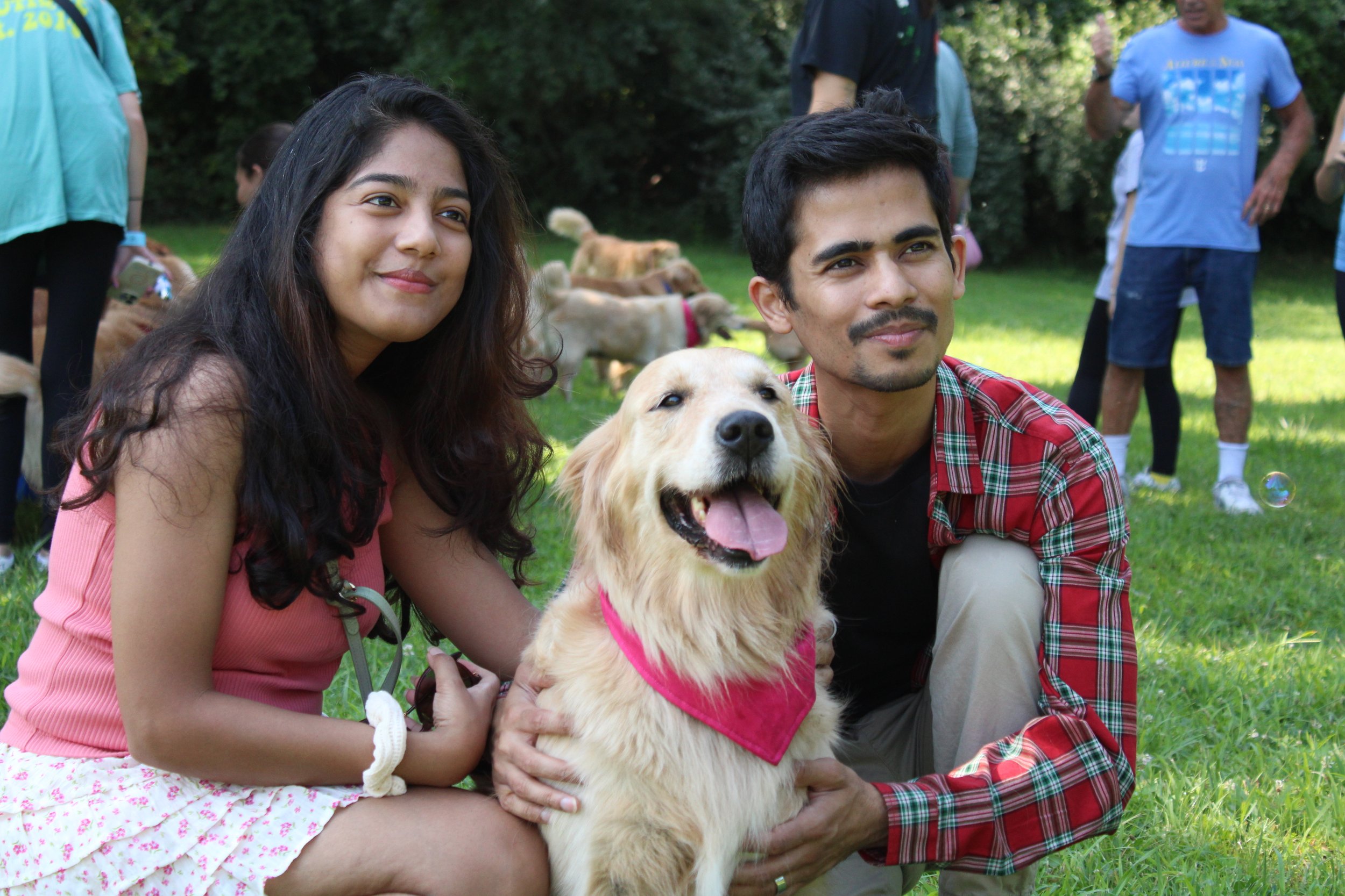 Why Golden Retrievers Are the Ultimate Mood Boosters