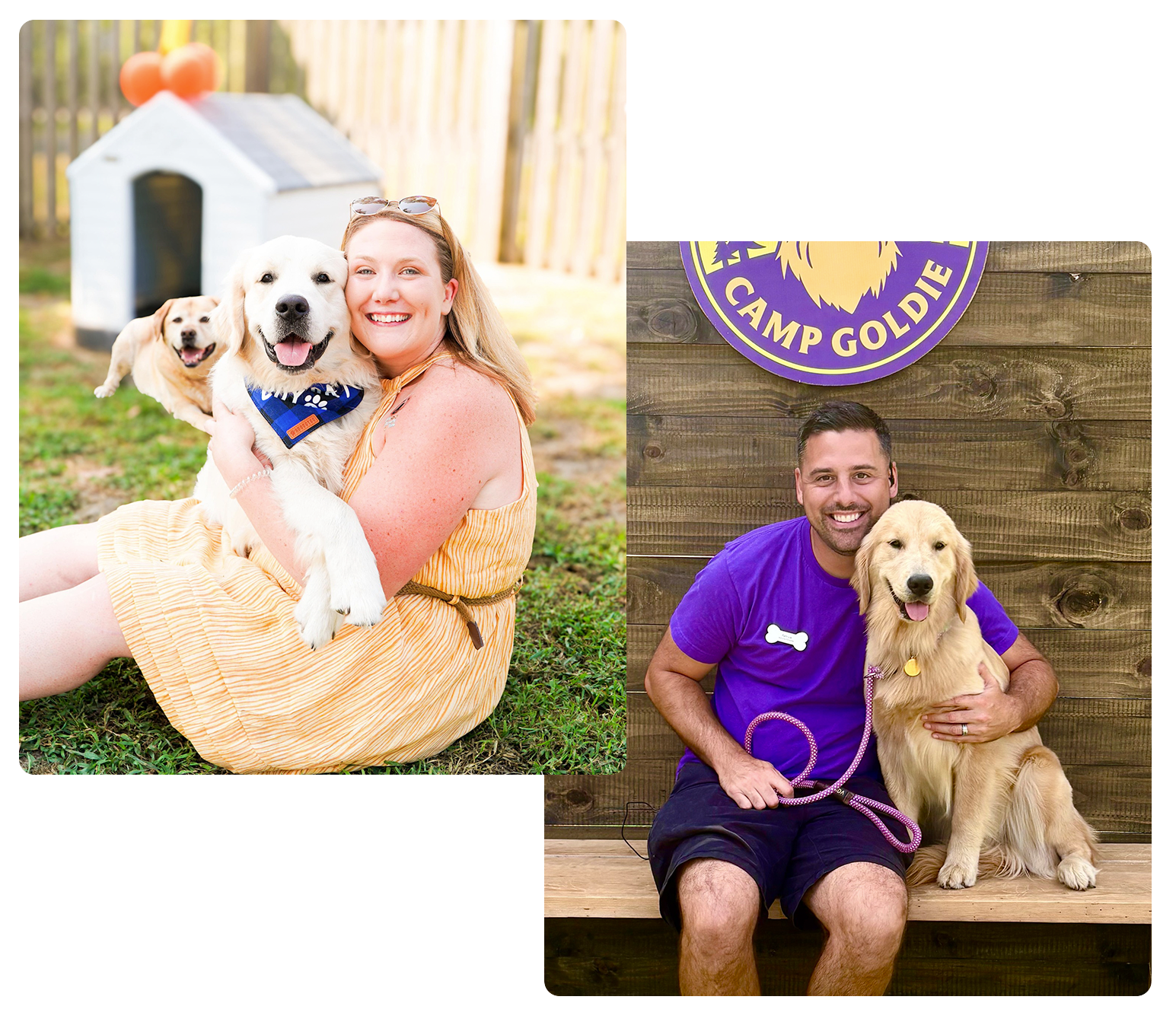 A woman with blonde hair in a yellow dress sitting on grass, holding a happy golden retriever with a blue bandana, with another yellow retriever behind her. A man with short dark hair, wearing a purple shirt and black shorts, sitting on a wooden bench, holding a golden retriever, with a wooden wall and purple camp goldie sign in the background.