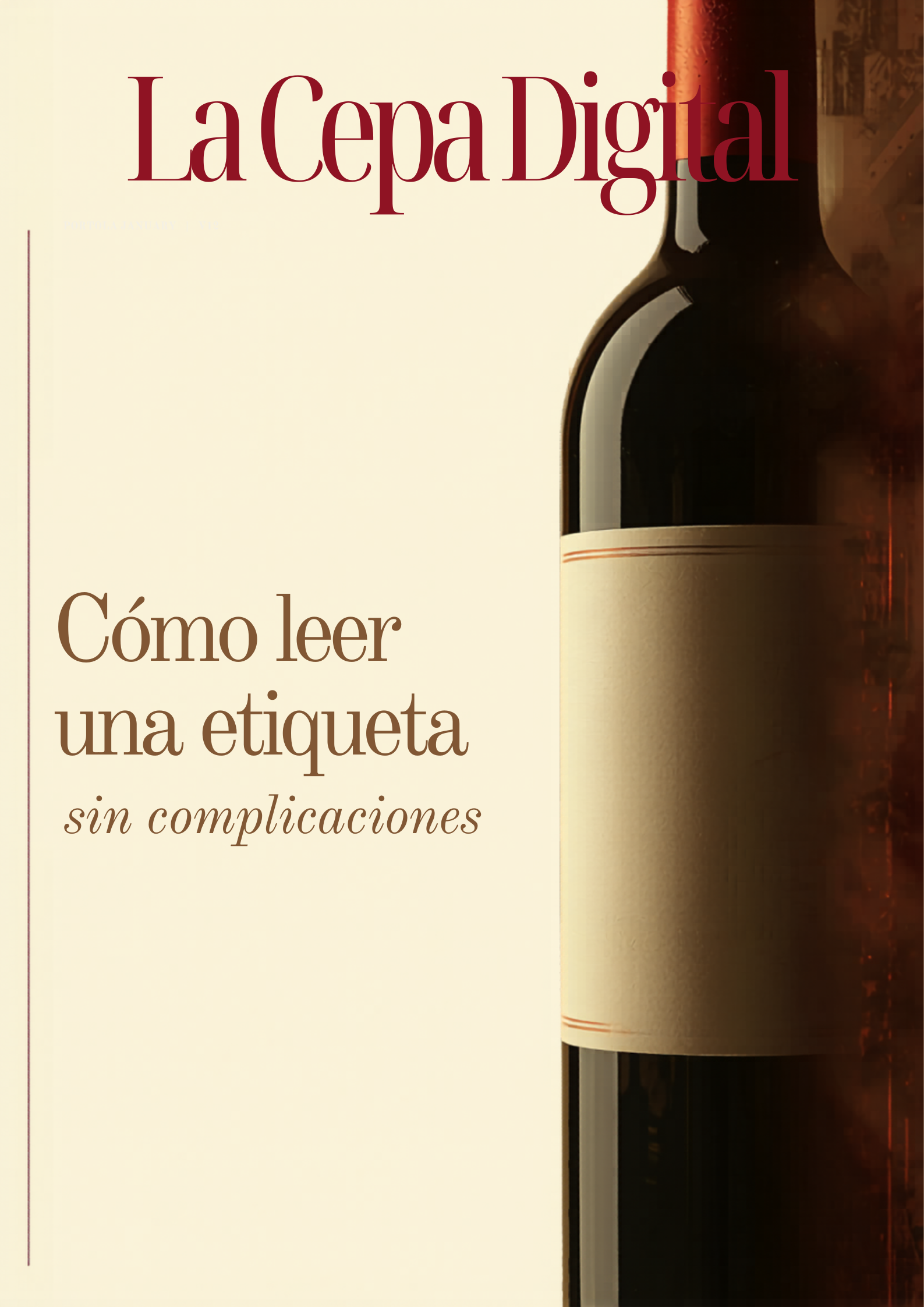 Cómo leer la etiqueta de una botella de vino (sin complicaciones)
