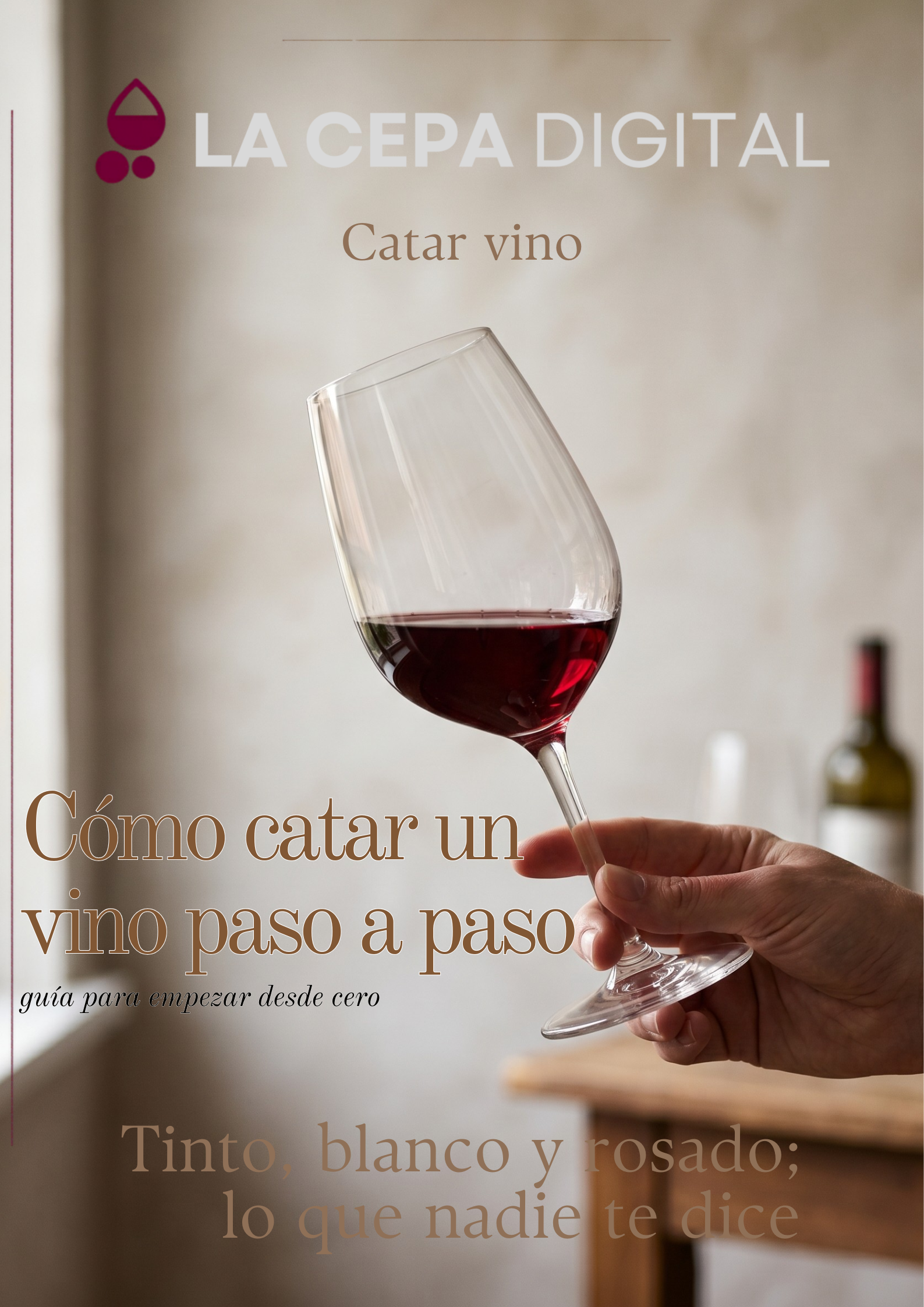 Cómo catar un vino paso a paso: guía para empezar desde cero