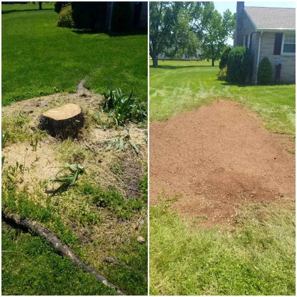 Side-by-side comparison of a yard before and after landscaping: The left shows a patch of grass with a tree stump and some plants, while the right shows the same area cleared and leveled with freshly tilled soil, ready for planting or sod.