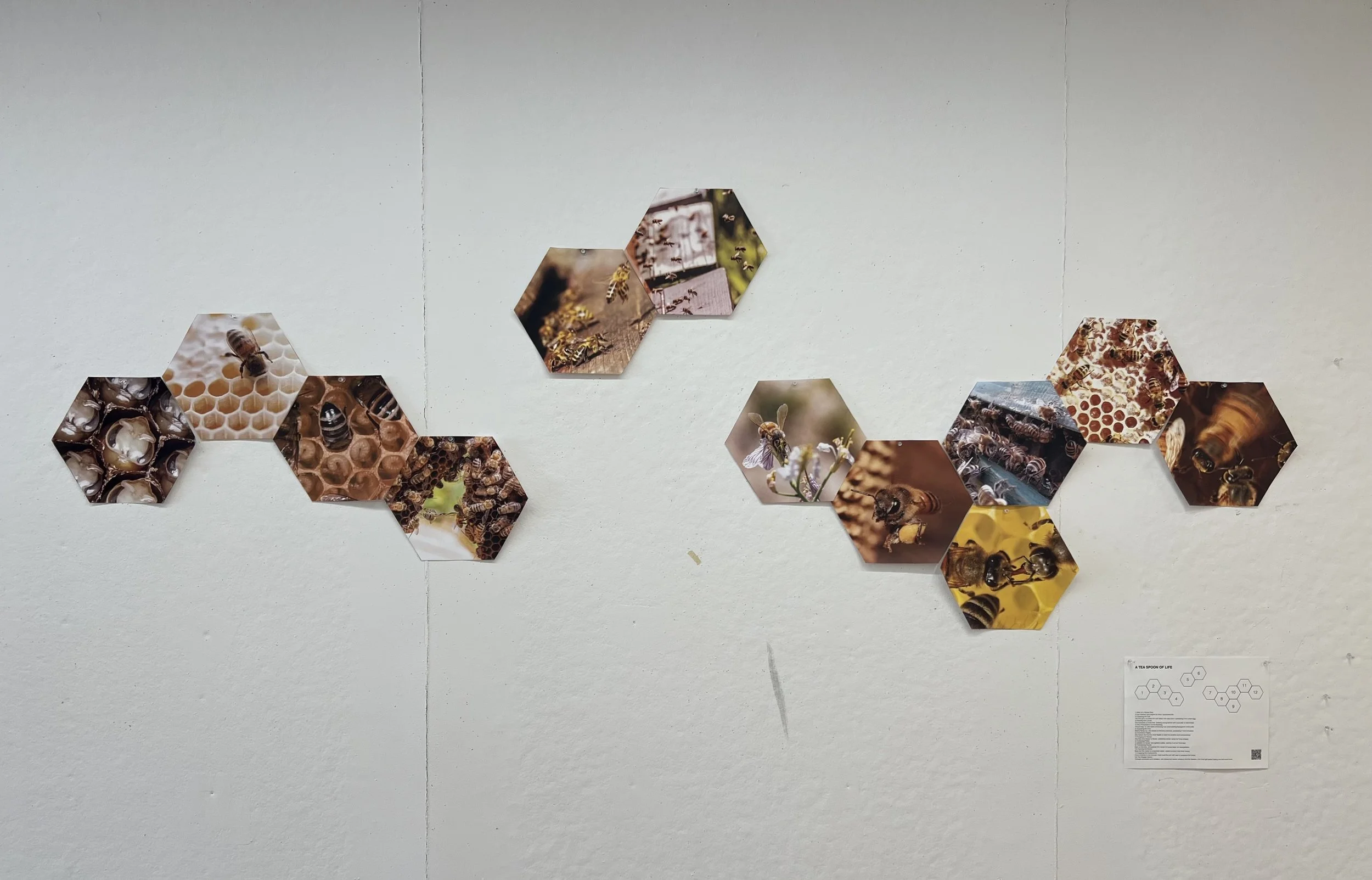 A Tea Spoon of Life (Installation)