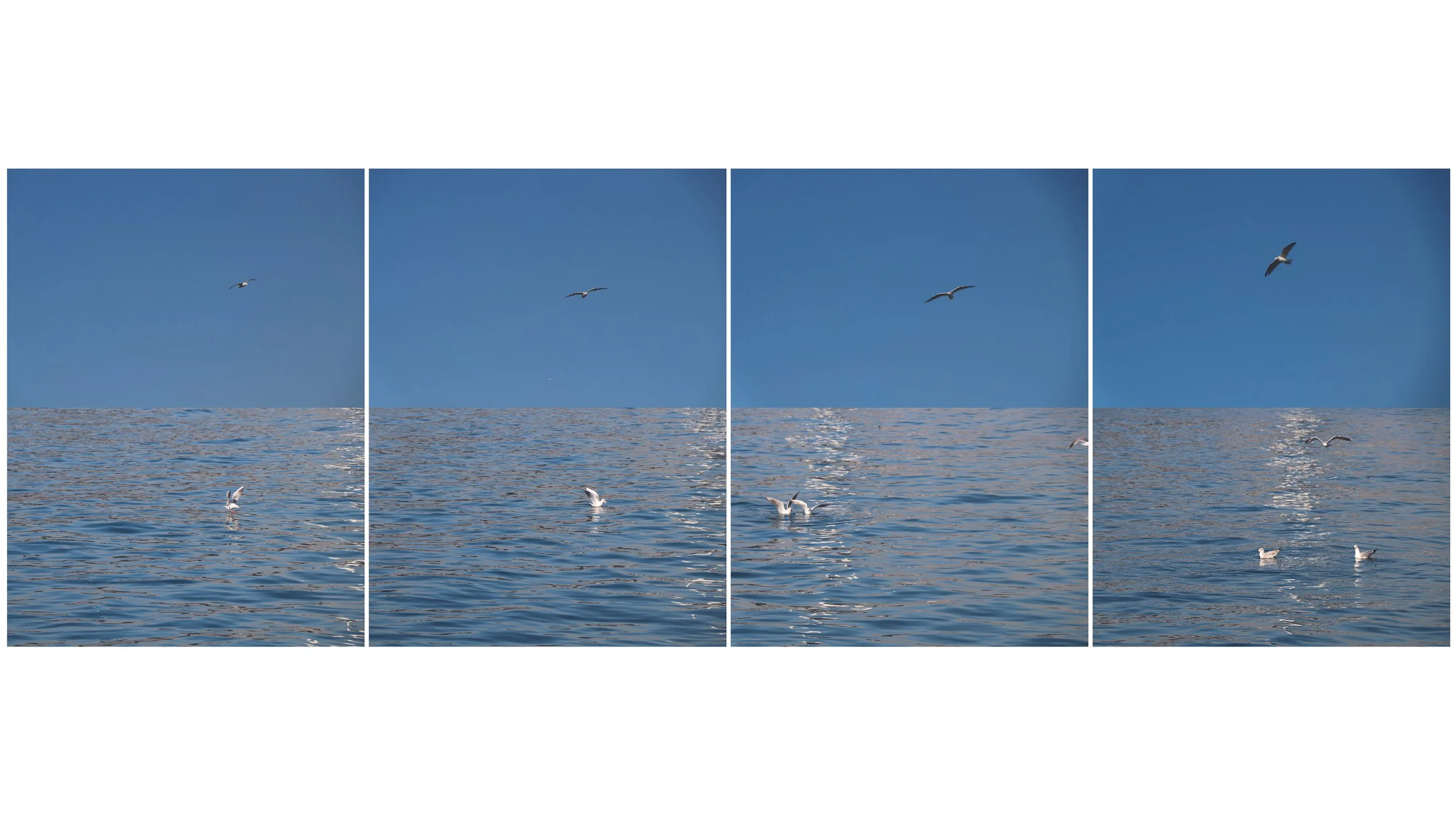 "When The Sky Meets The Sea"