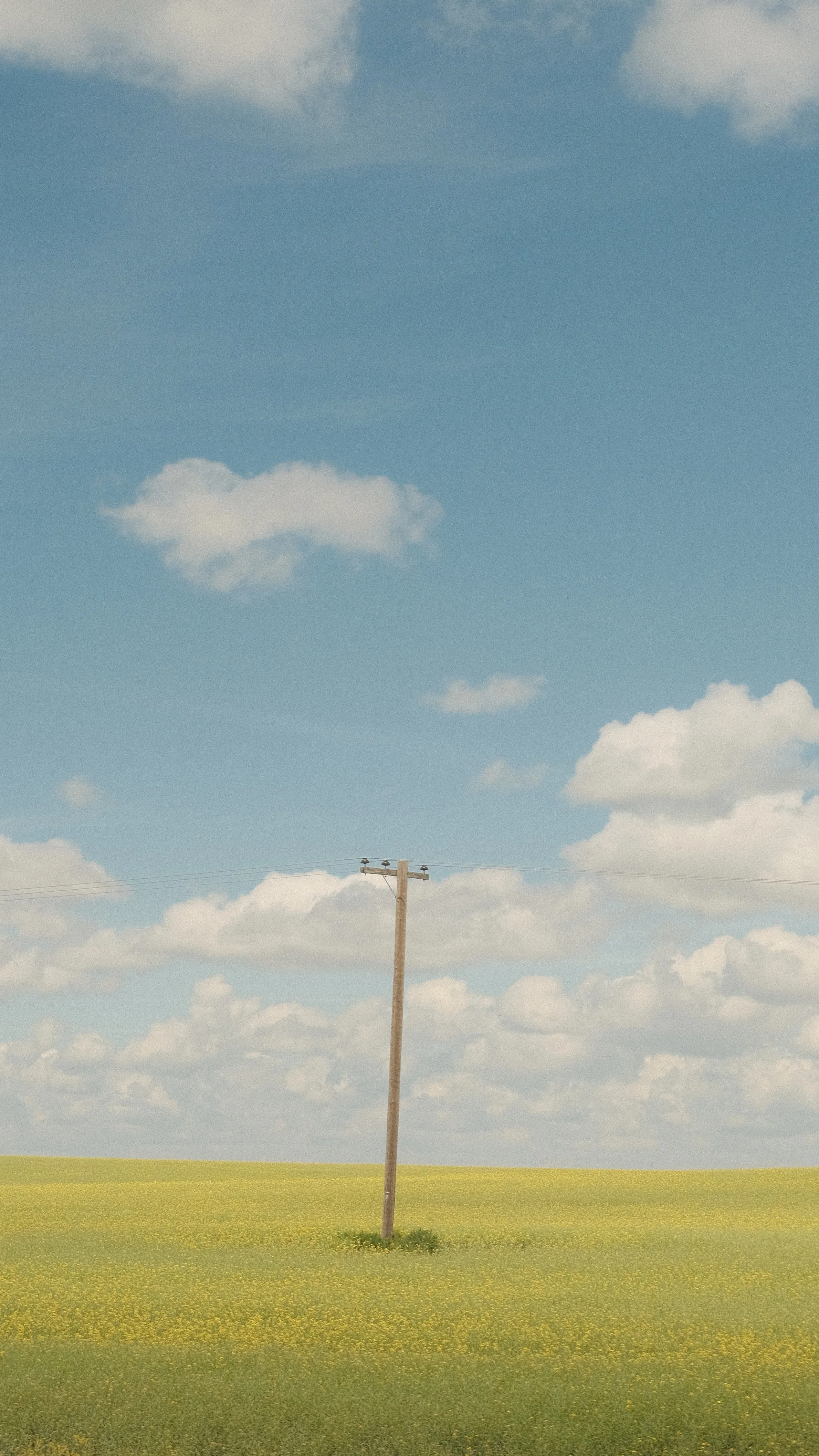 DSCF6019.jpg