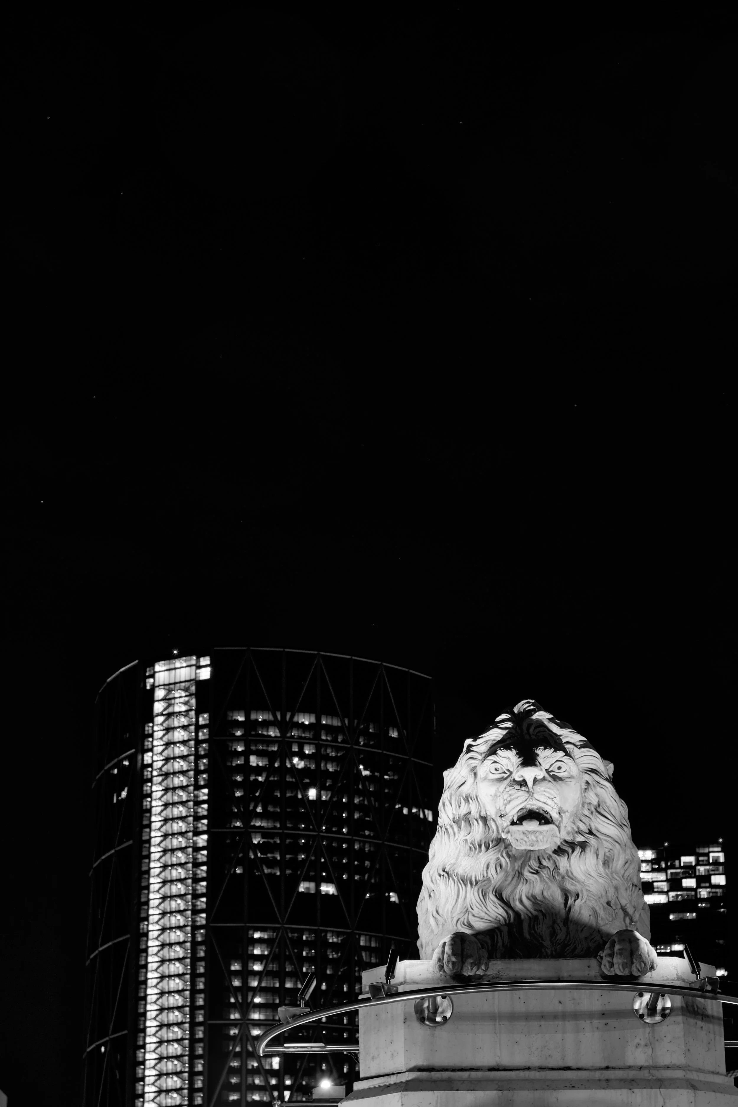 DT YYC 12.jpg