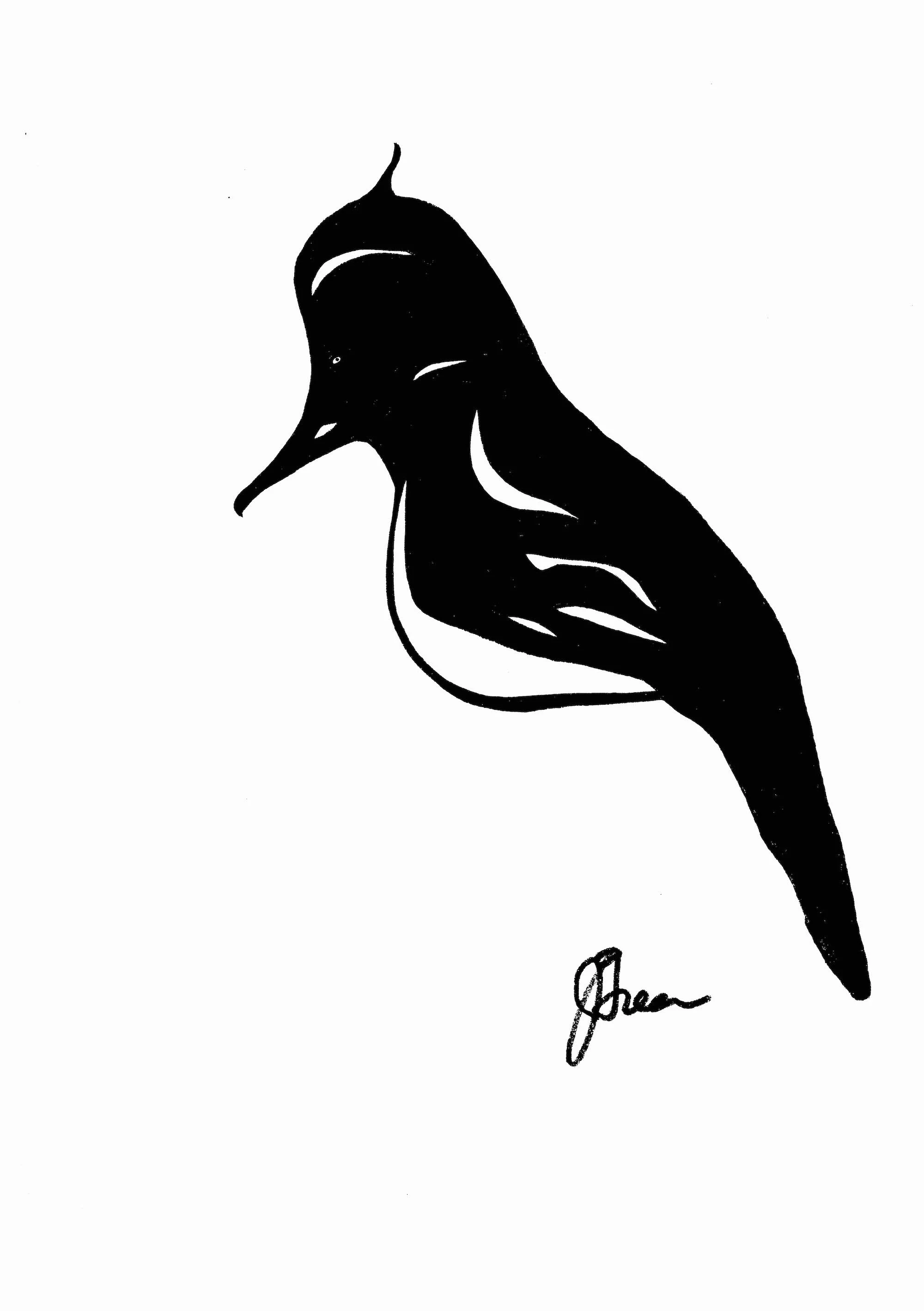 Wildlife Series (5).jpg