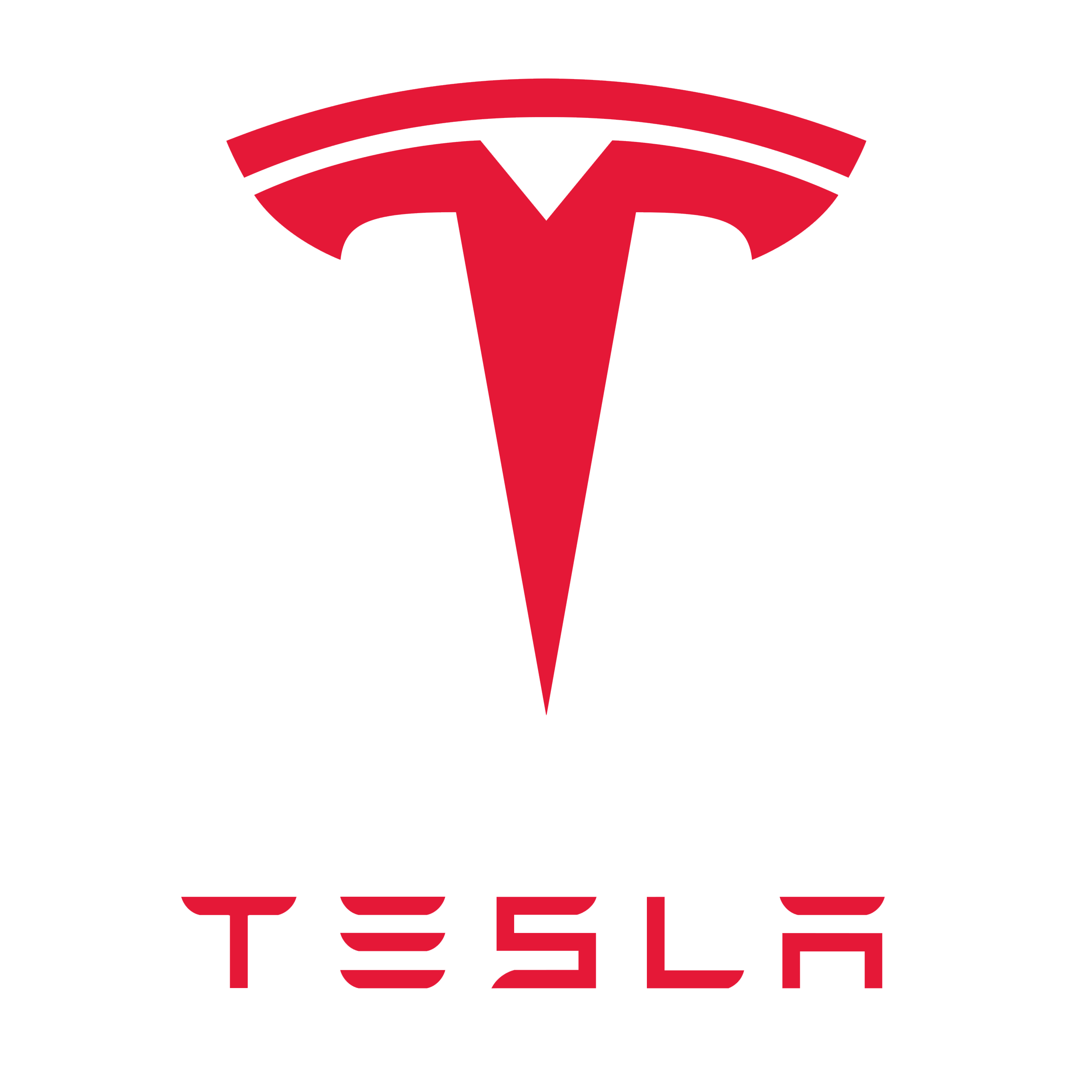 Tesla logo with a red and black color scheme