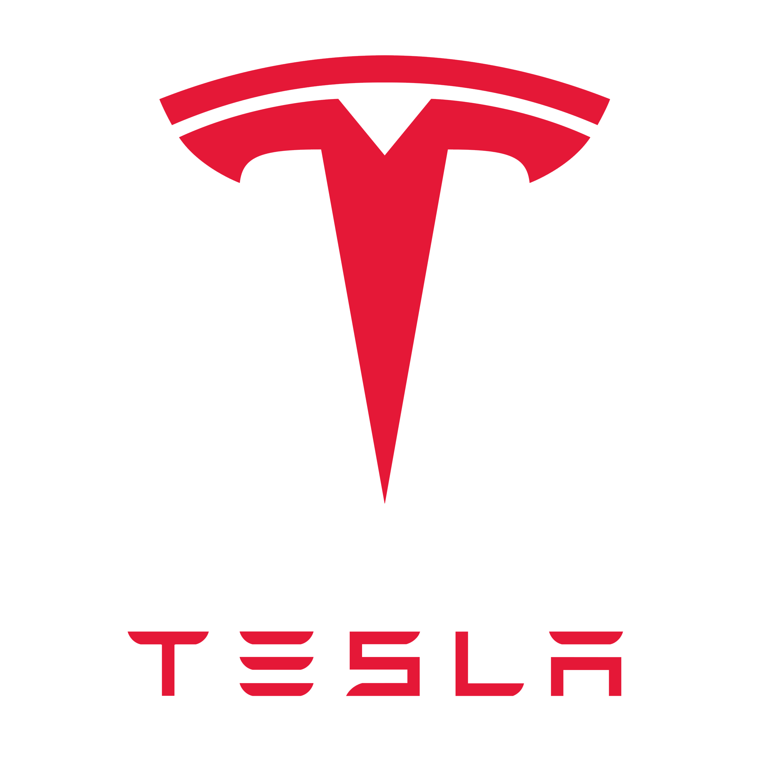 Tesla logo with the text 'Tesla' underneath it.
