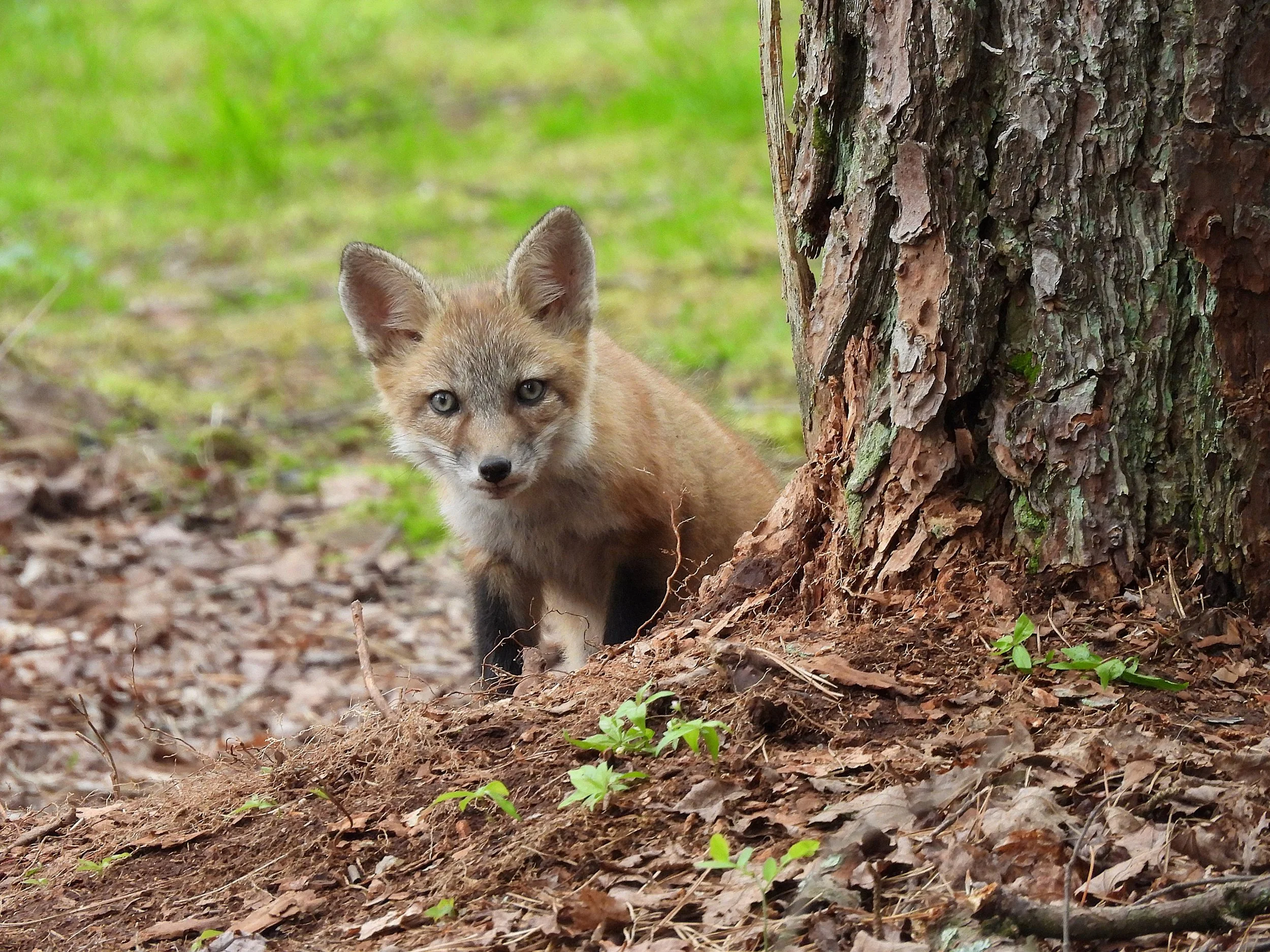 are you looking at me.jpg