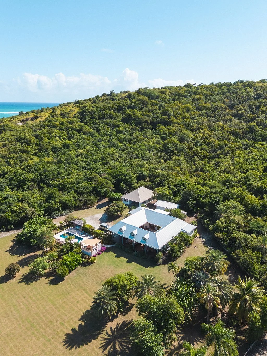 Aerial view of a house with a metal roof, a swimming pool, surrounded by palm trees and lush greenery, with a dense forest and ocean in the background.